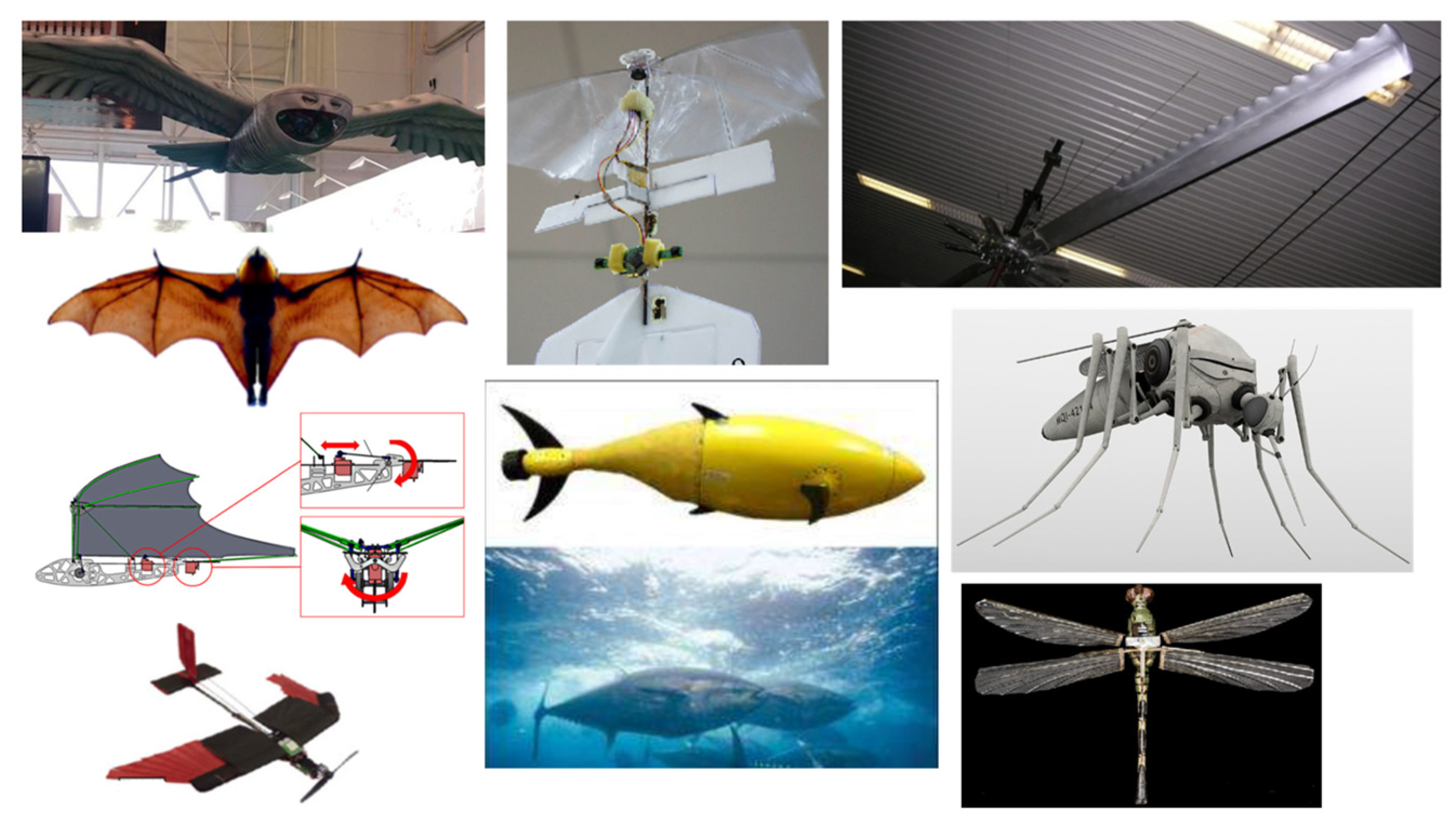 Biomimetics 08 00319 g001 Biomimetics 08 00319 g001