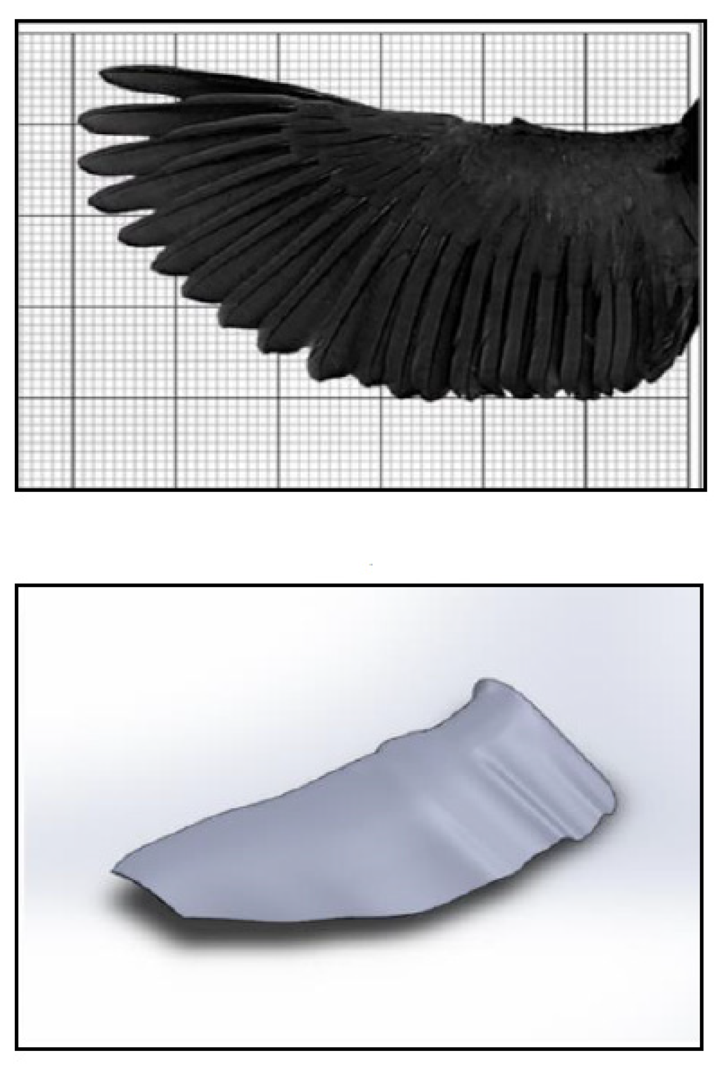 Biomimetics 08 00319 g005 Biomimetics 08 00319 g005