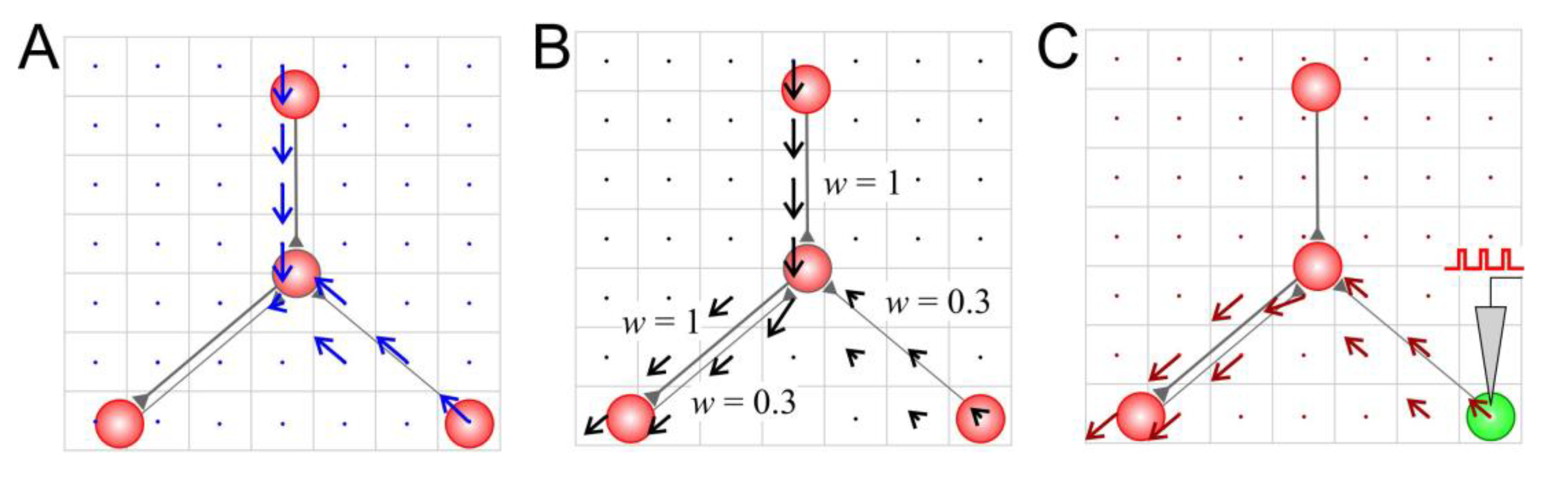 Biomimetics 08 00320 g002