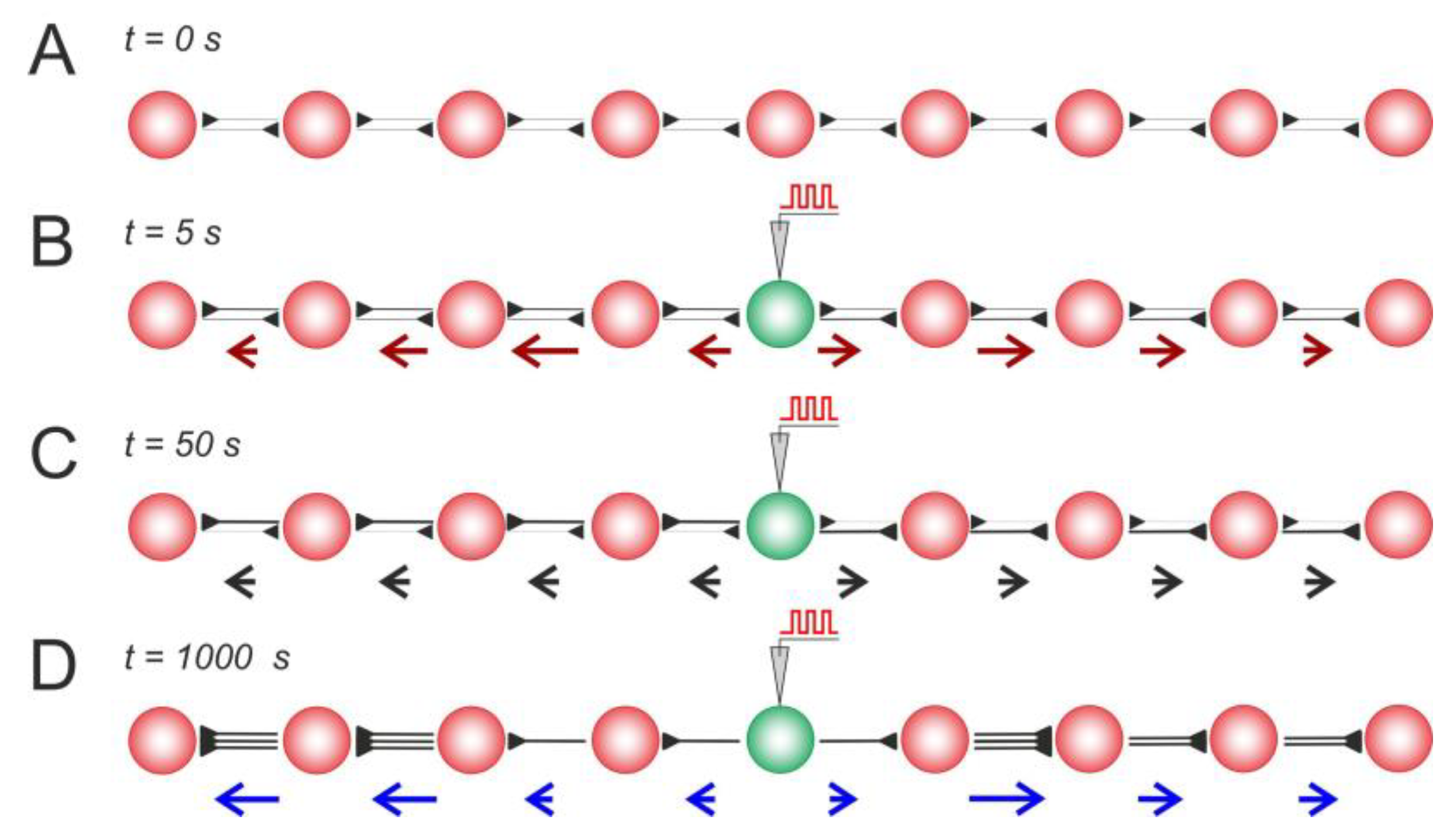 Biomimetics 08 00320 g003