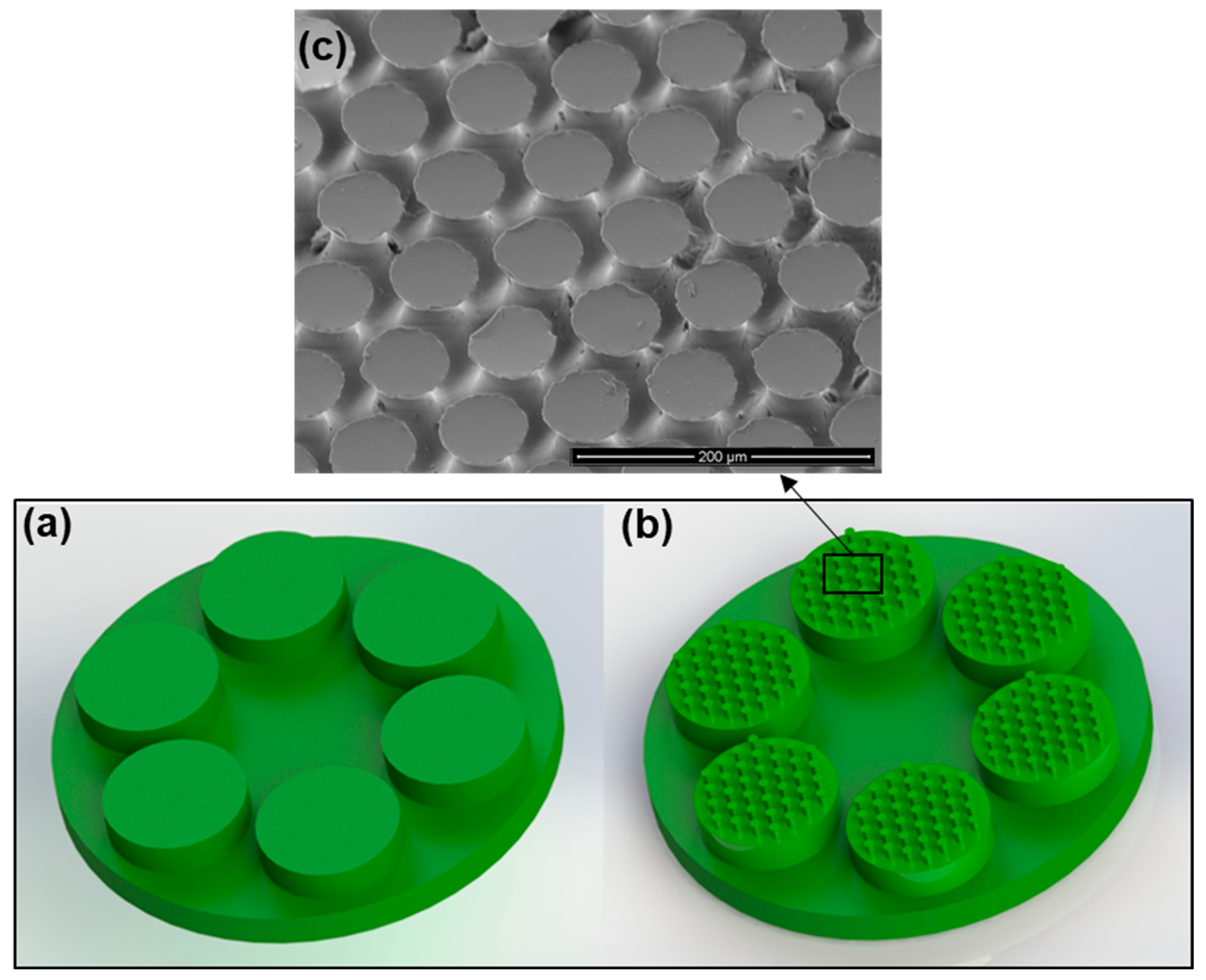 Biomimetics 08 00327 g002