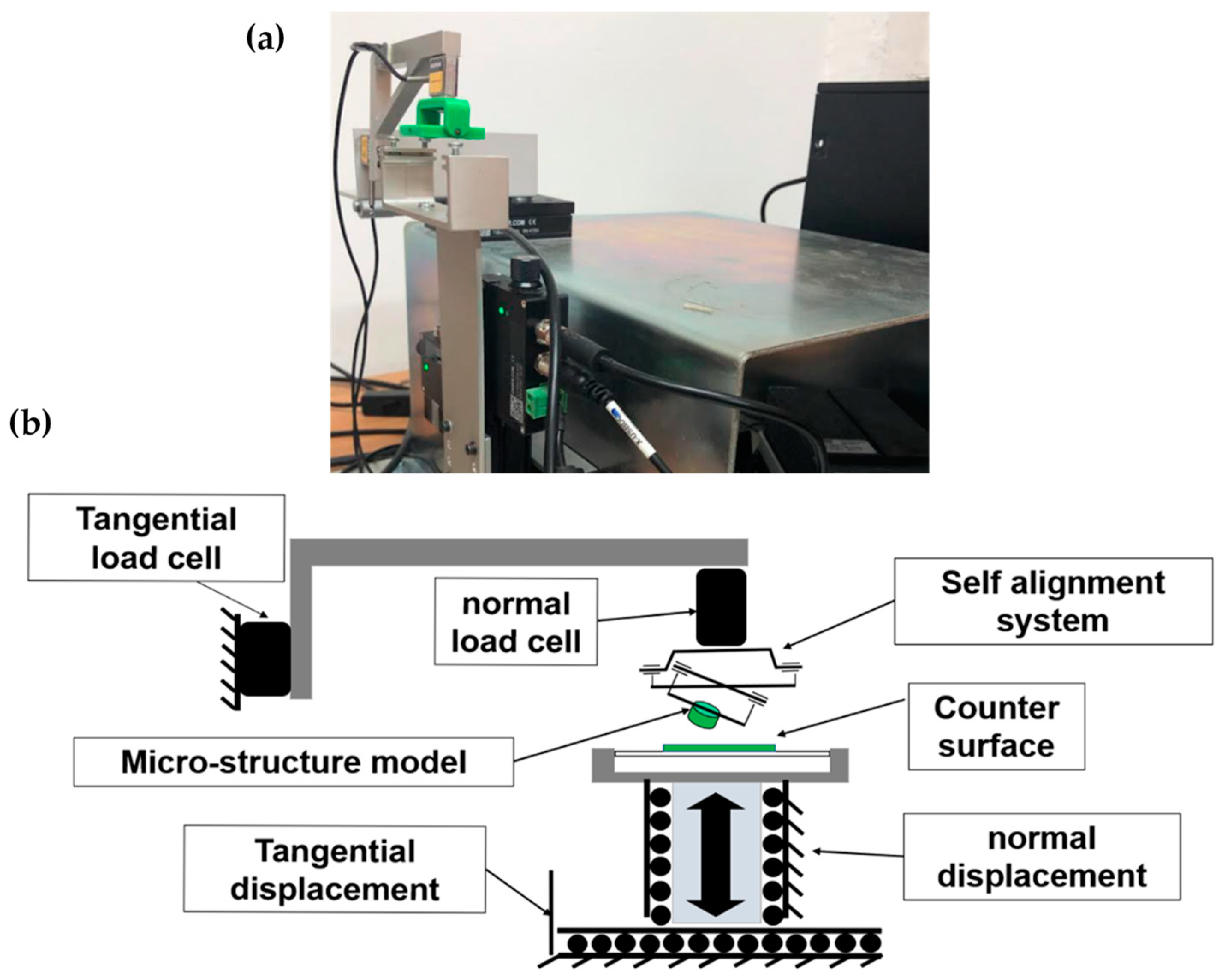 Biomimetics 08 00327 g004