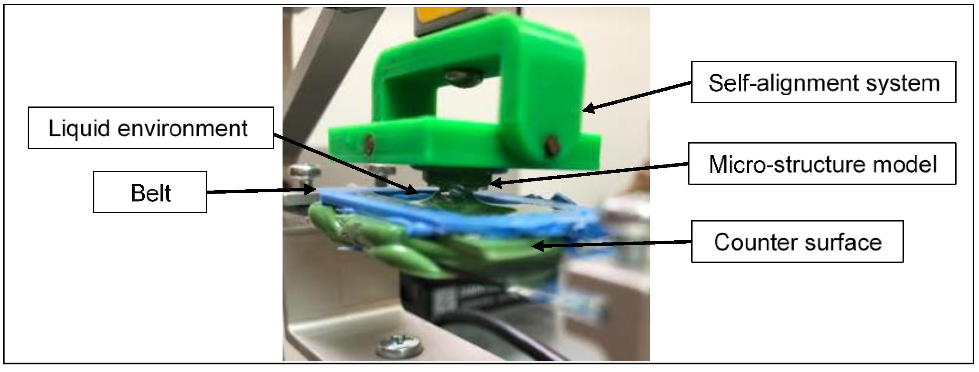 Biomimetics 08 00327 g005