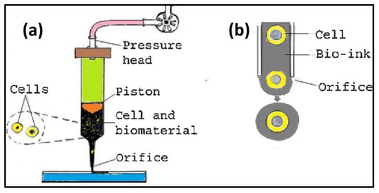 Biomimetics 08 00330 g004