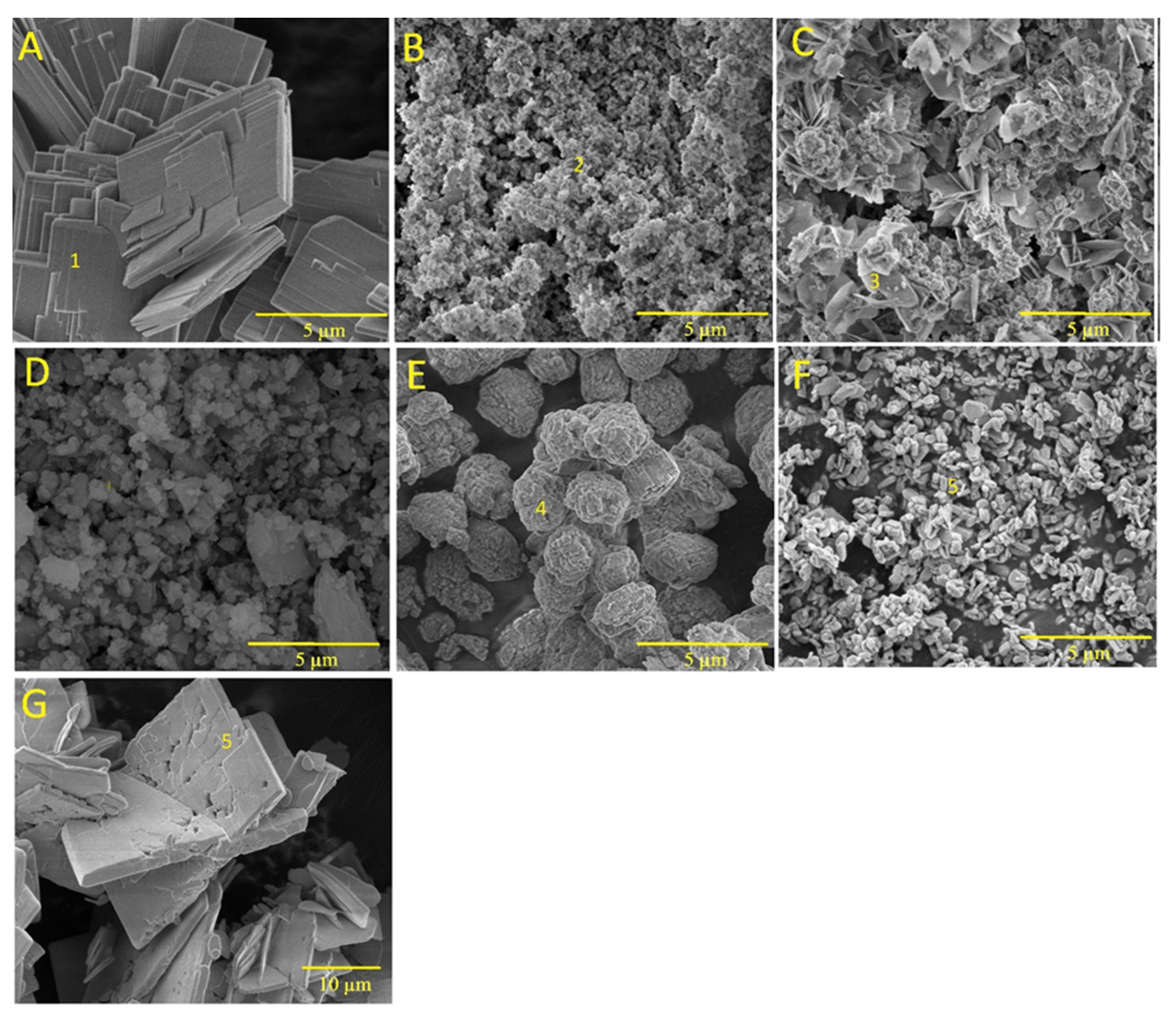 Biomimetics 08 00333 g003 Biomimetics 08 00333 g003