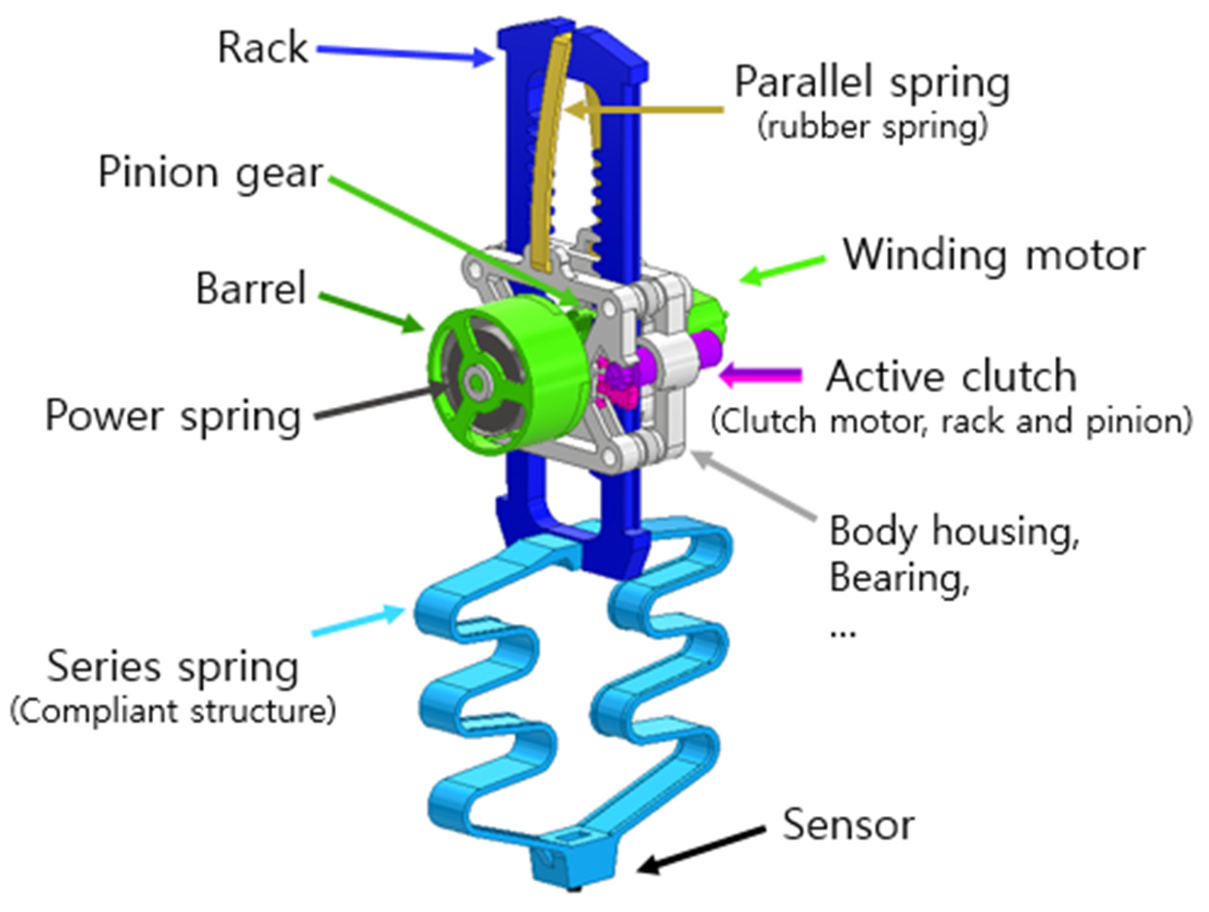 Biomimetics 08 00339 g002