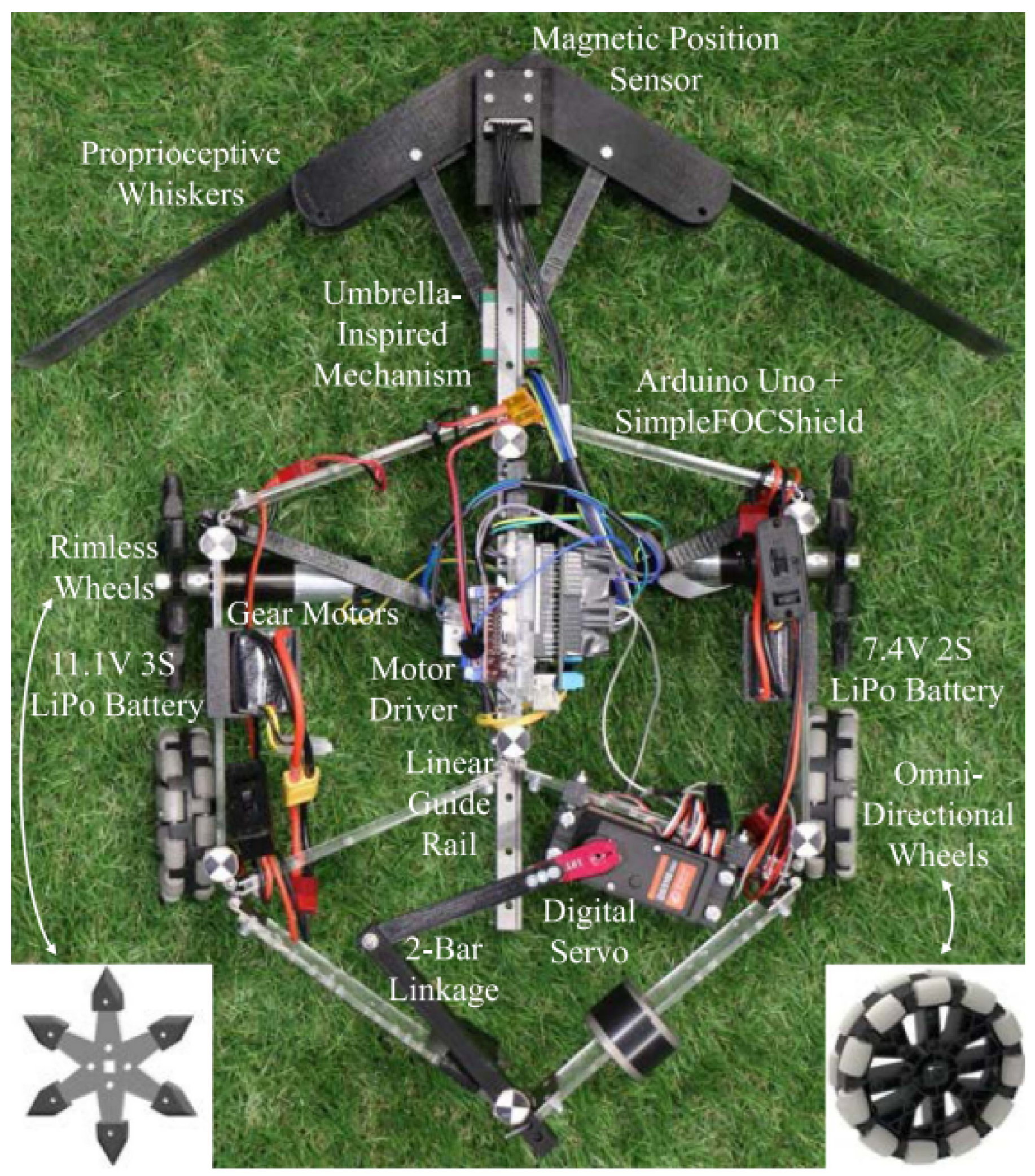 Biomimetics 08 00350 g010
