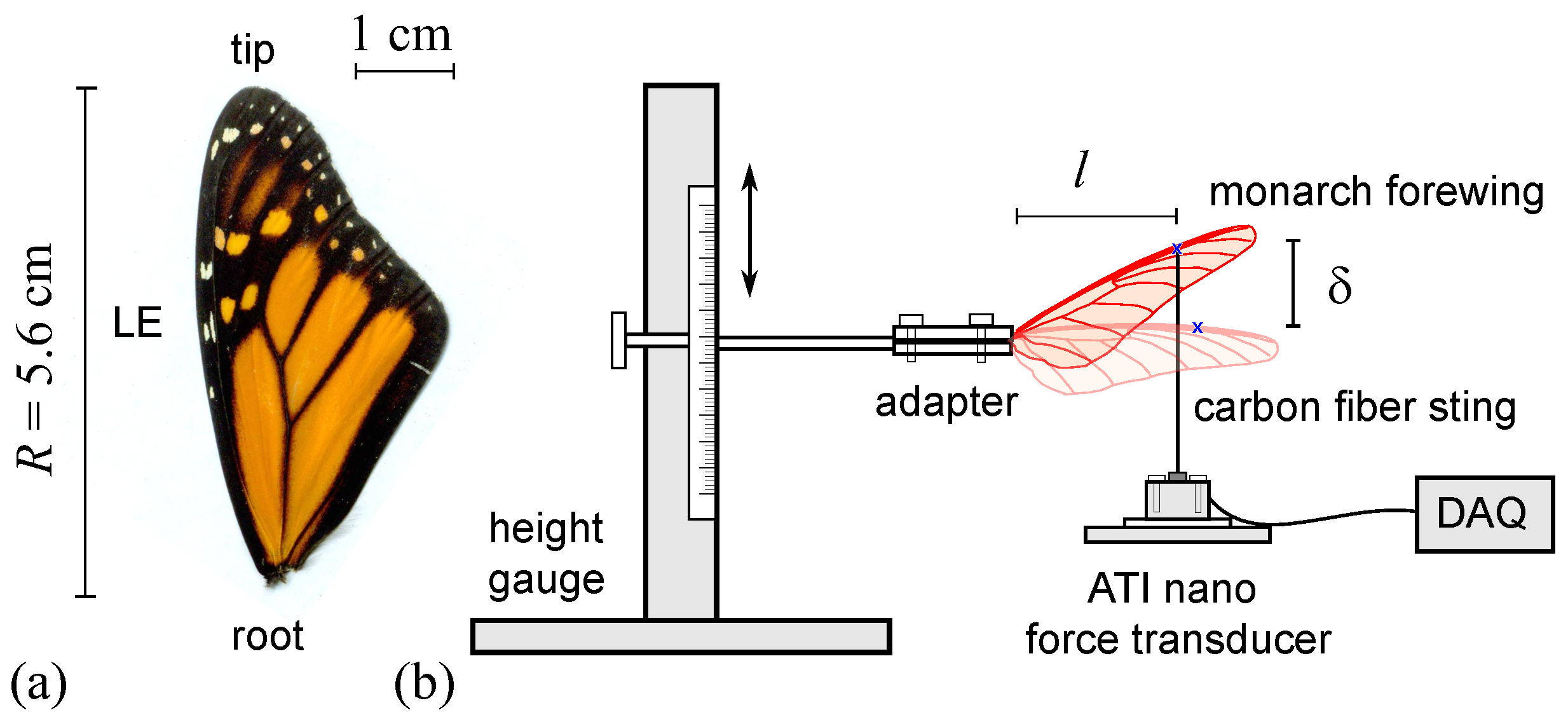 Biomimetics 08 00352 g001