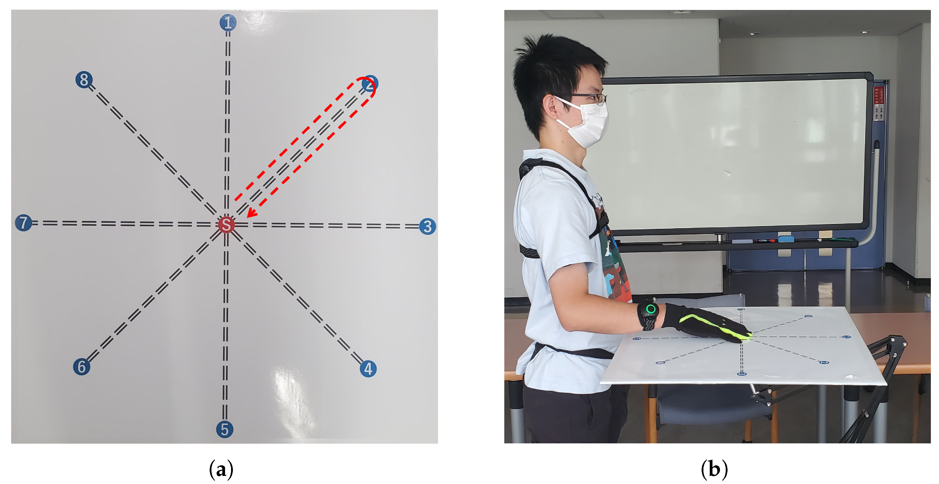 Biomimetics 08 00367 g001