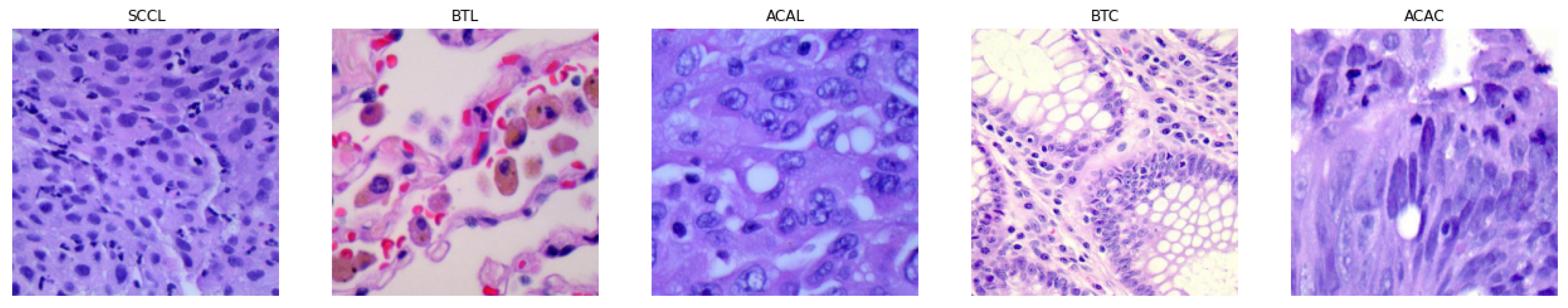 Biomimetics 08 00370 g001