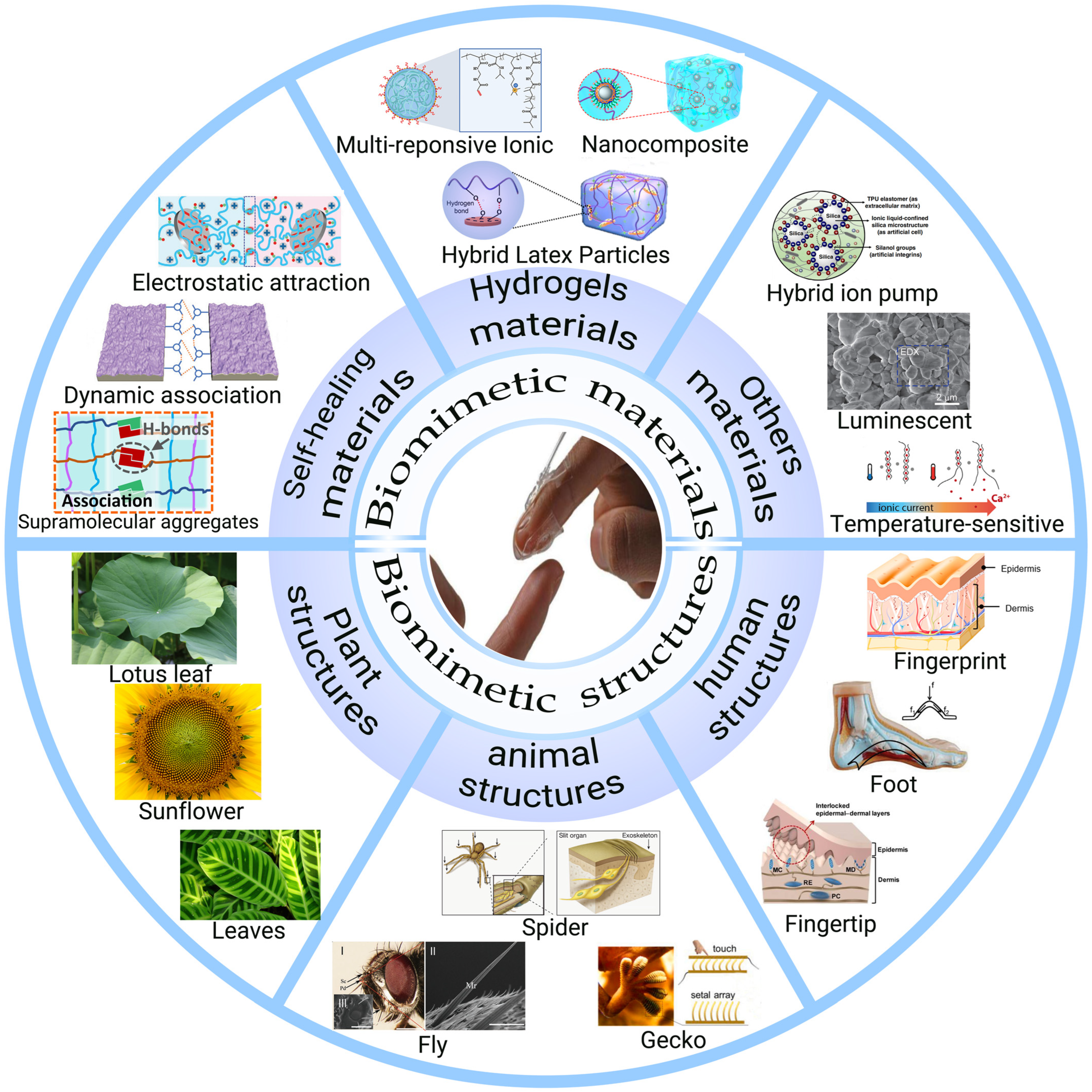 Biomimetics 08 00372 g001
