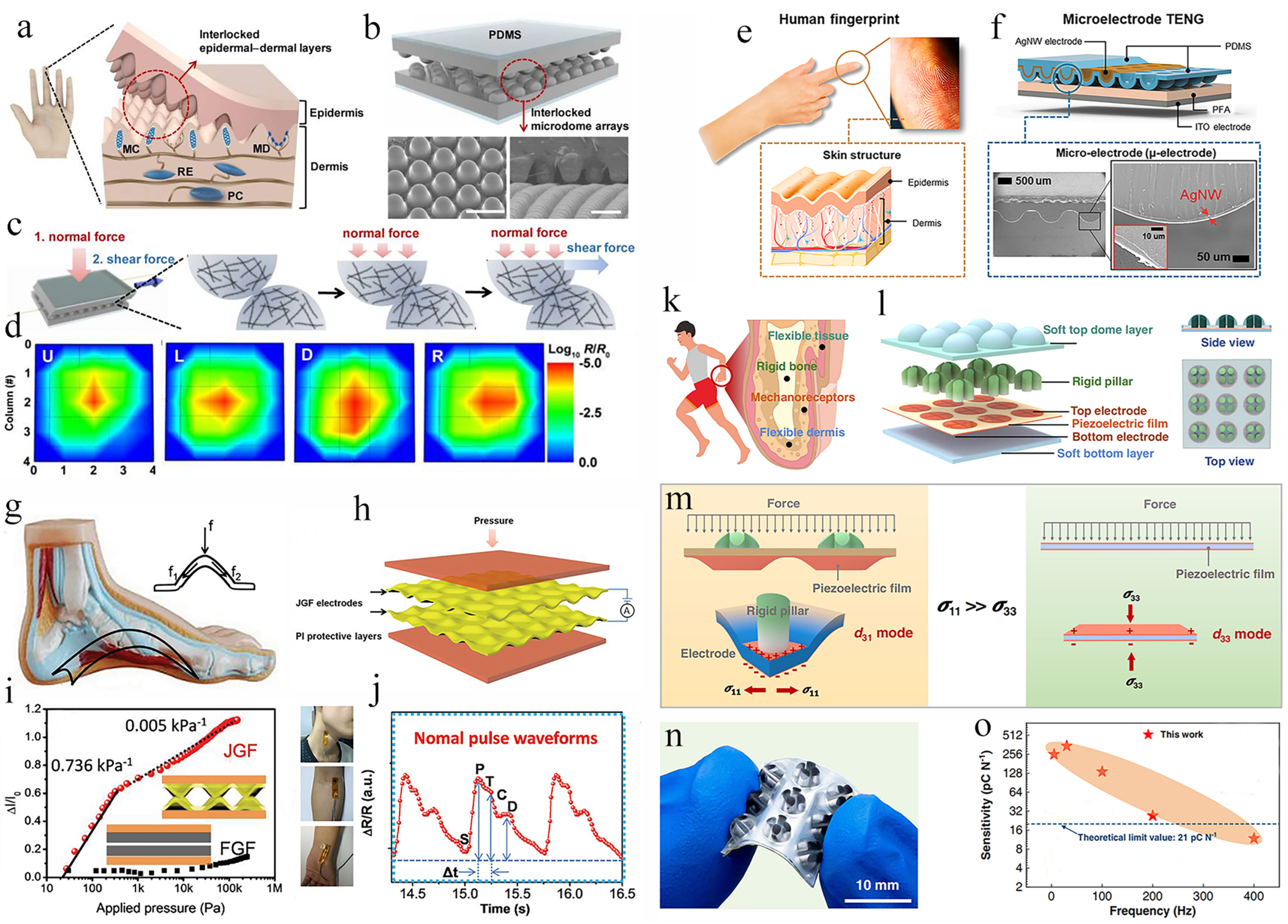 Biomimetics 08 00372 g007