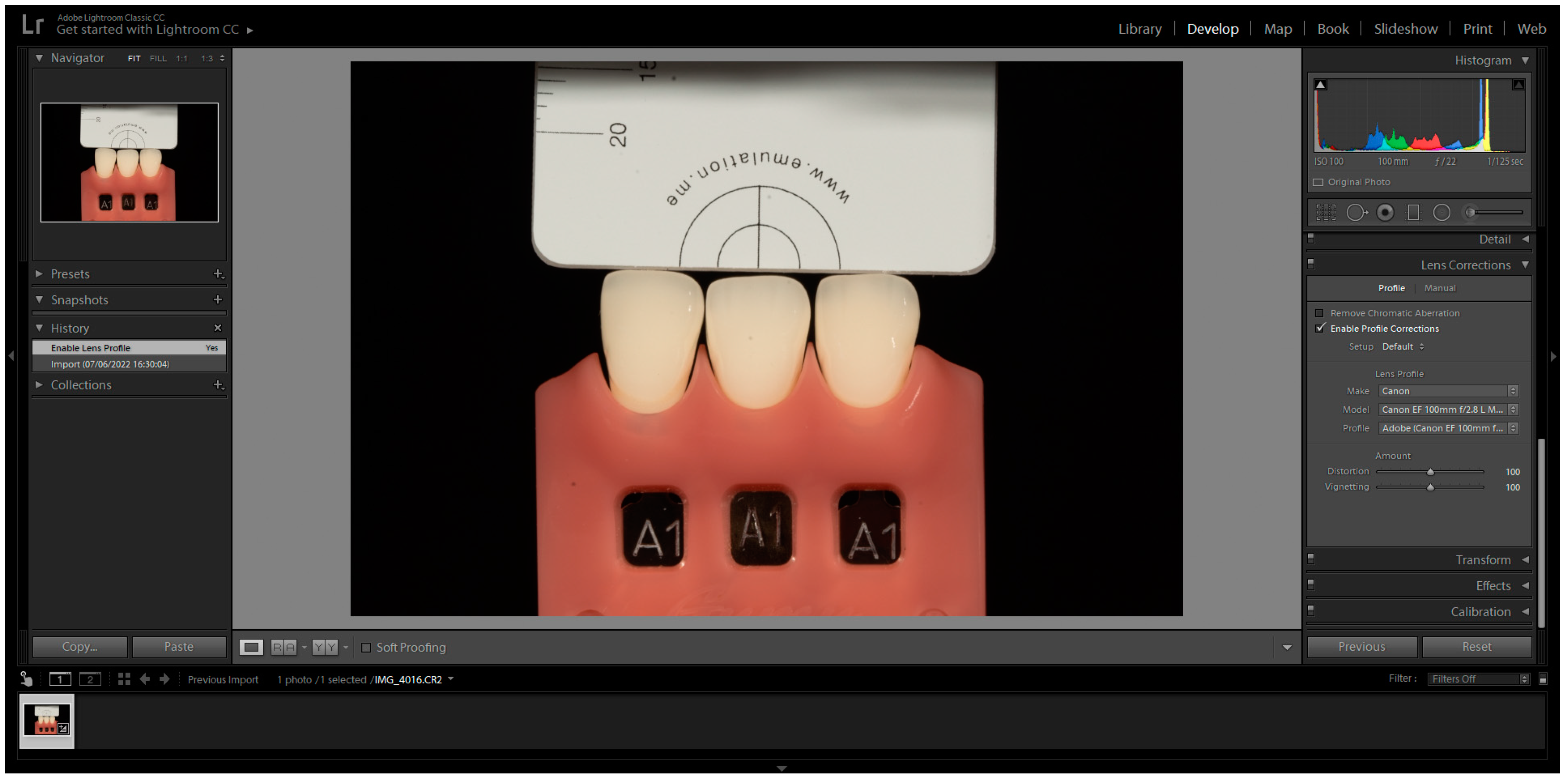 Biomimetics 08 00384 g001