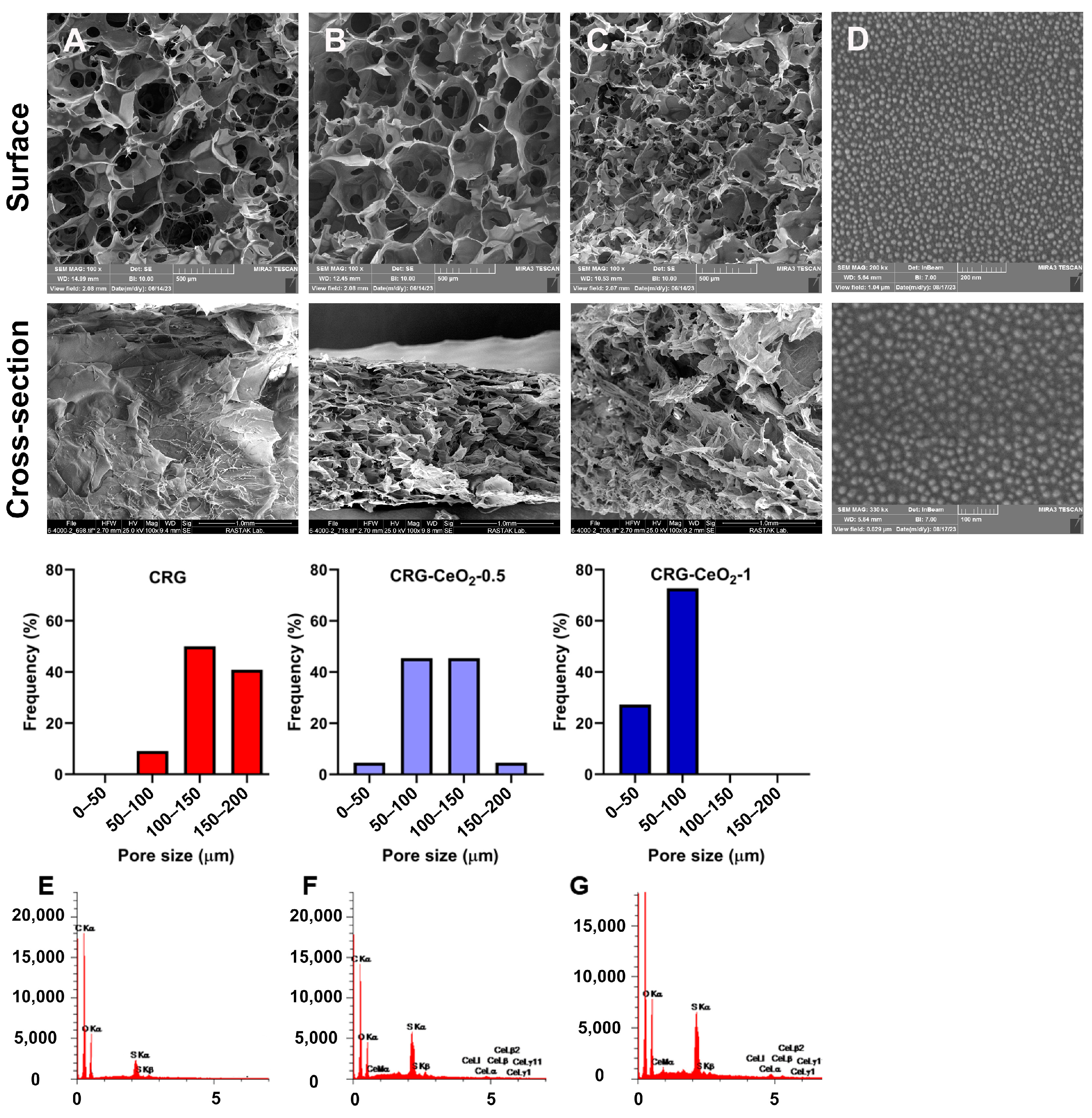 Biomimetics 08 00409 g001