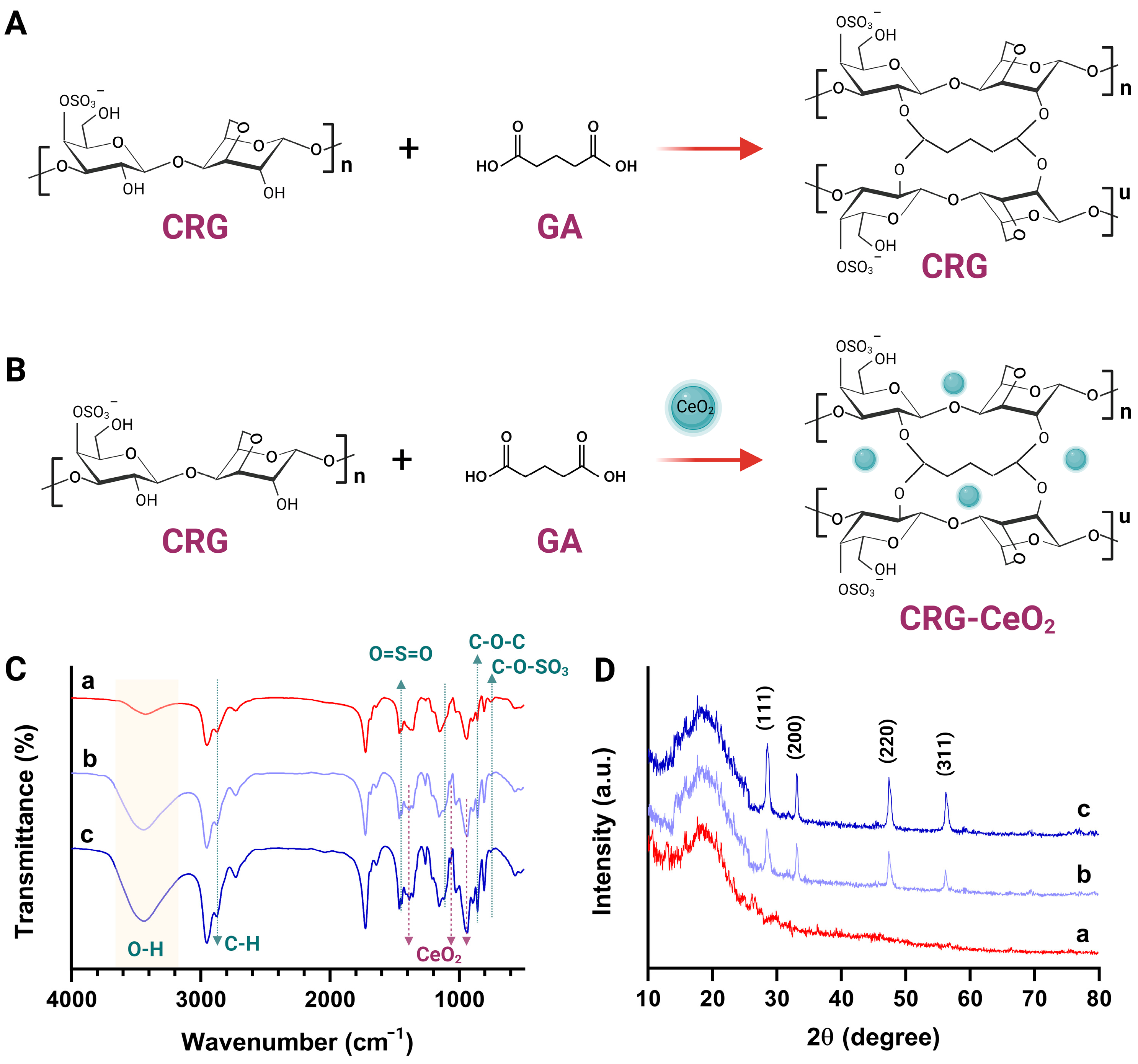 Biomimetics 08 00409 g003