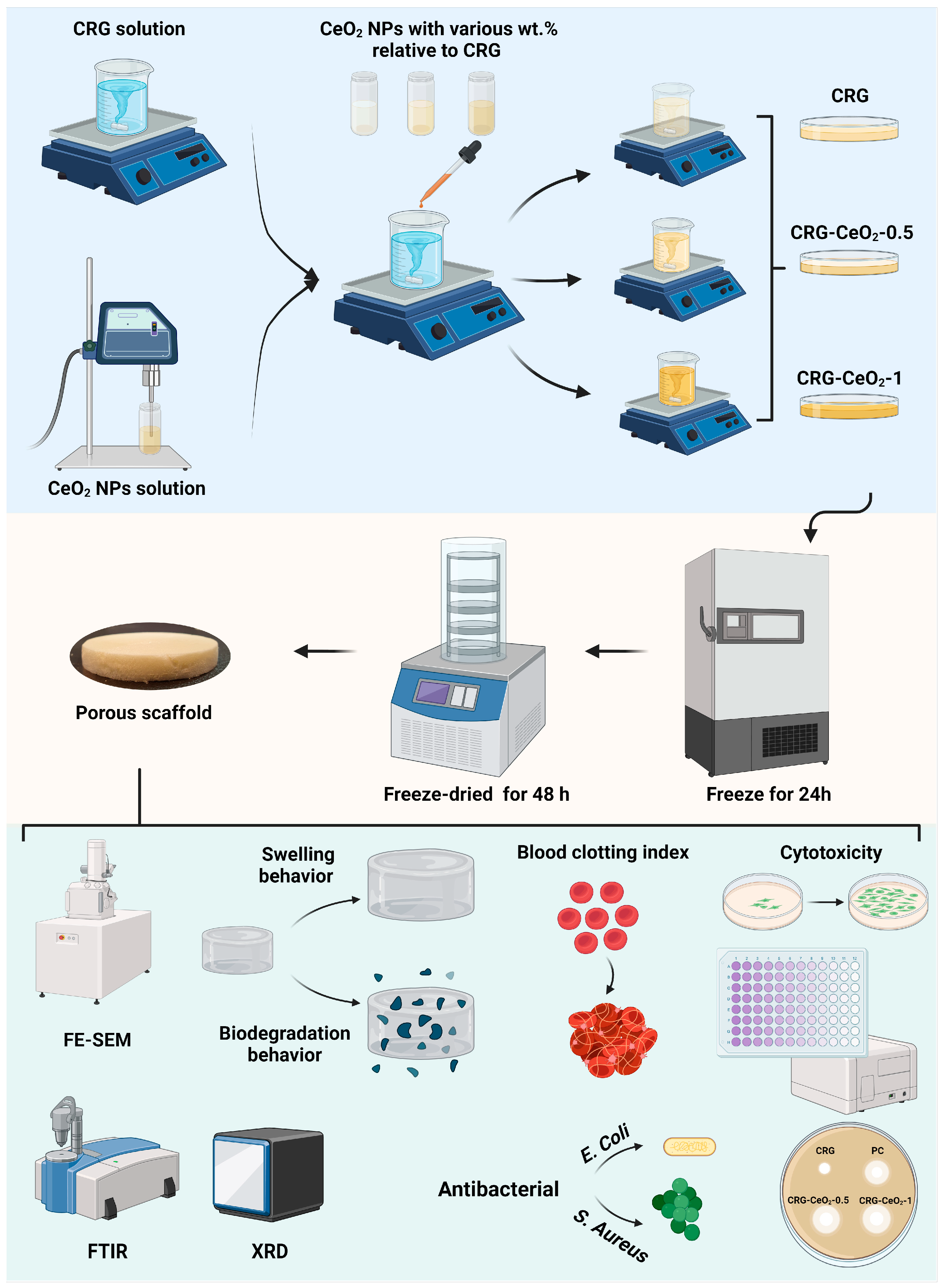 Biomimetics 08 00409 sch001
