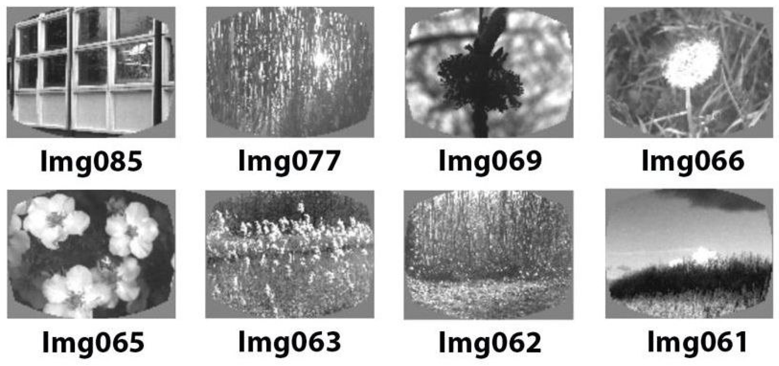 Biomimetics 08 00422 g001