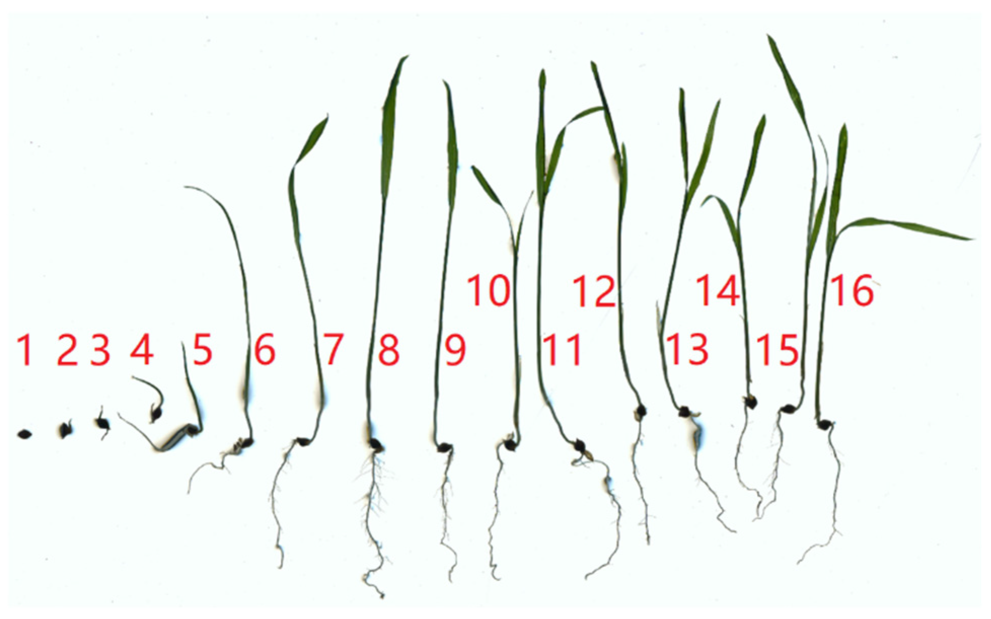 Biomimetics 08 00430 g003