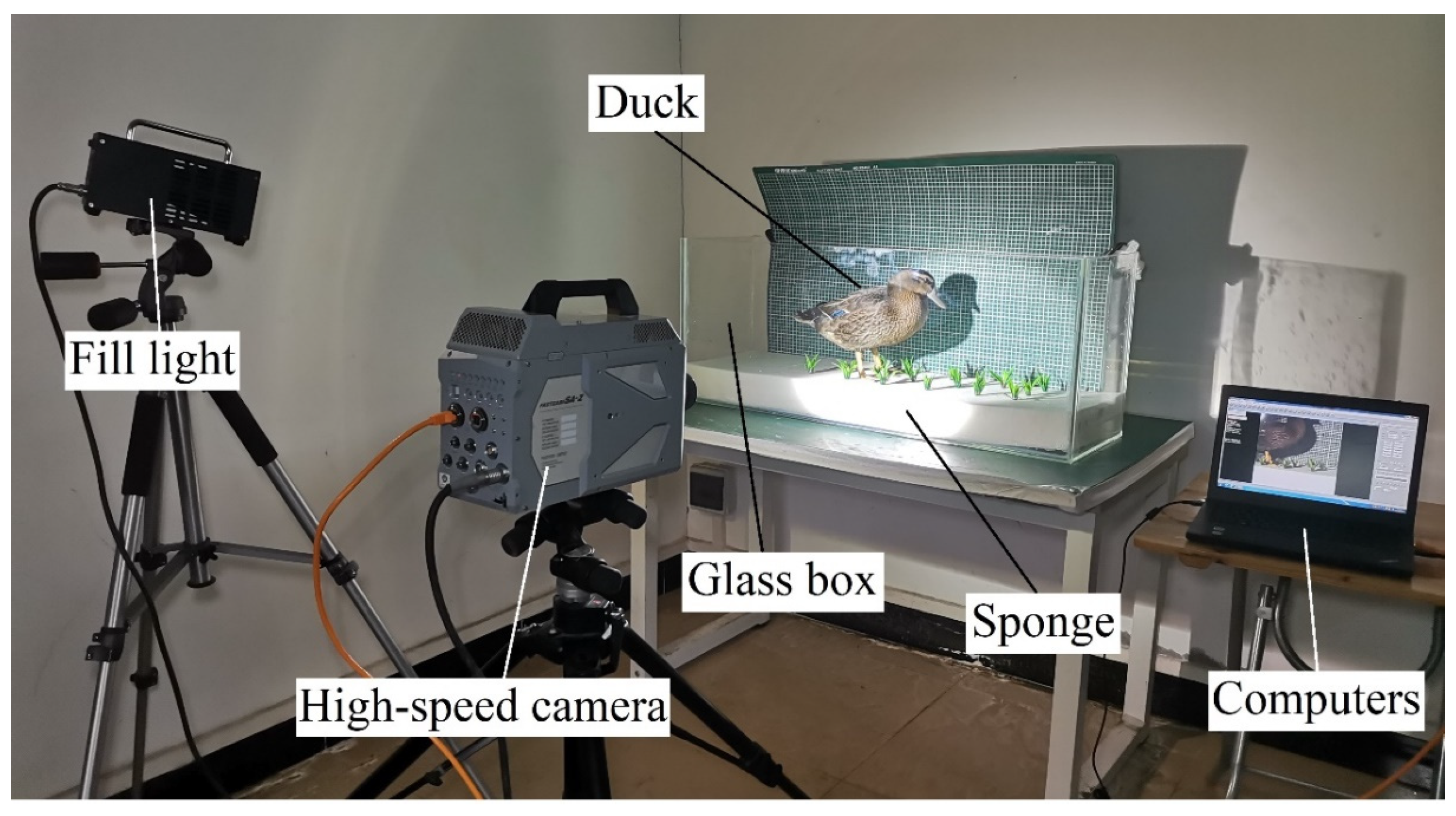Biomimetics 08 00430 g004