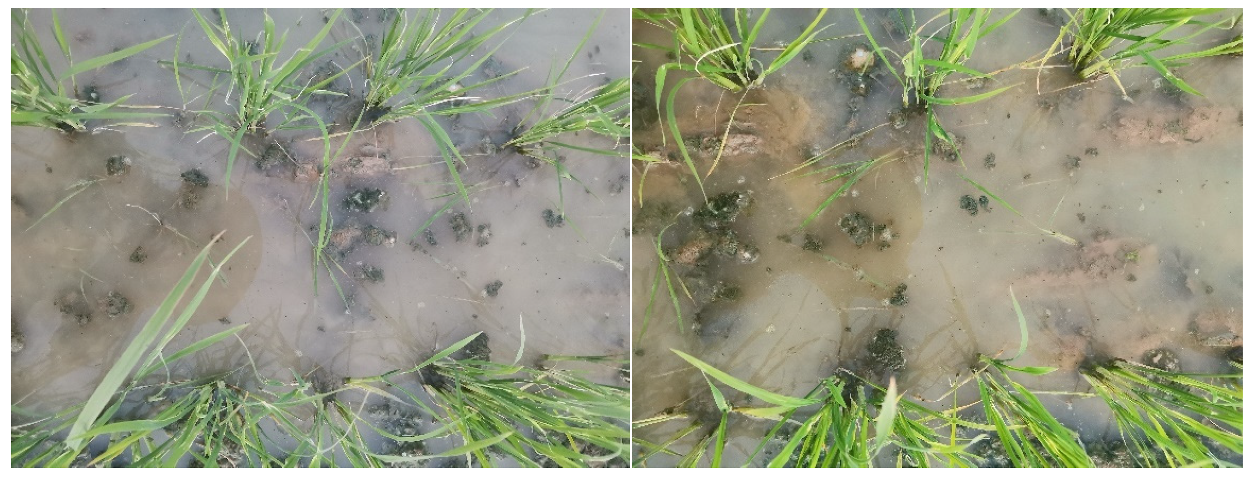 Biomimetics 08 00430 g012