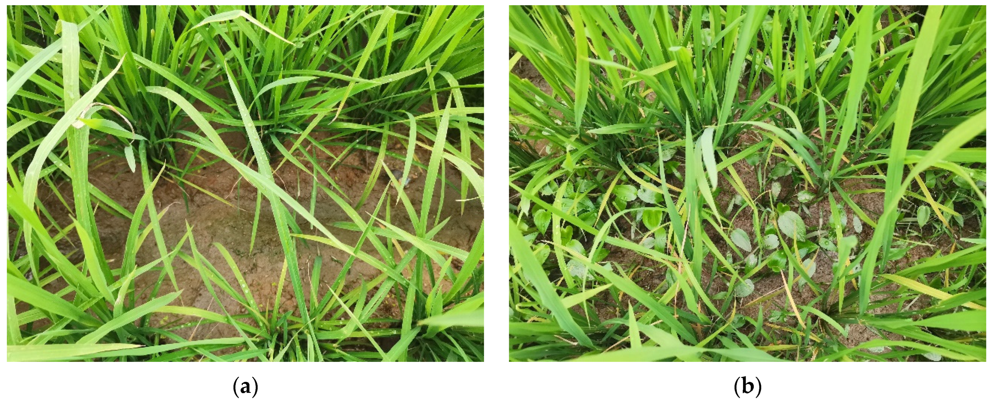 Biomimetics 08 00430 g020