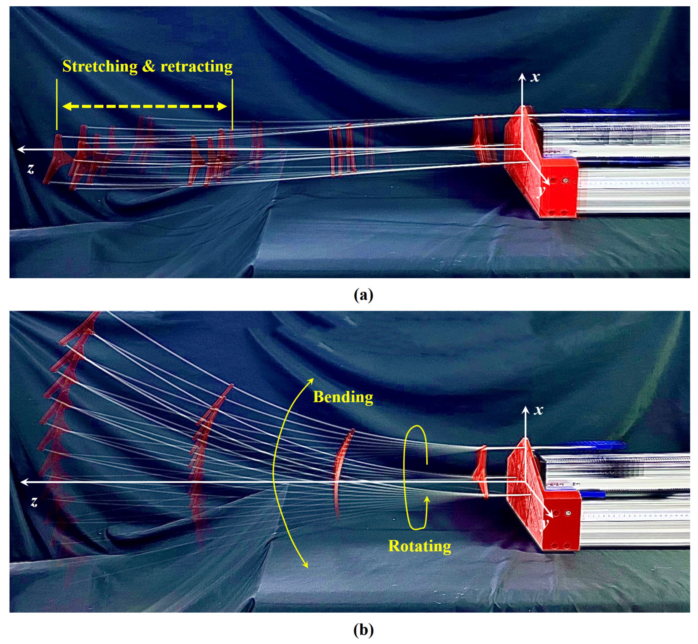 Biomimetics 08 00433 g001 Biomimetics 08 00433 g001