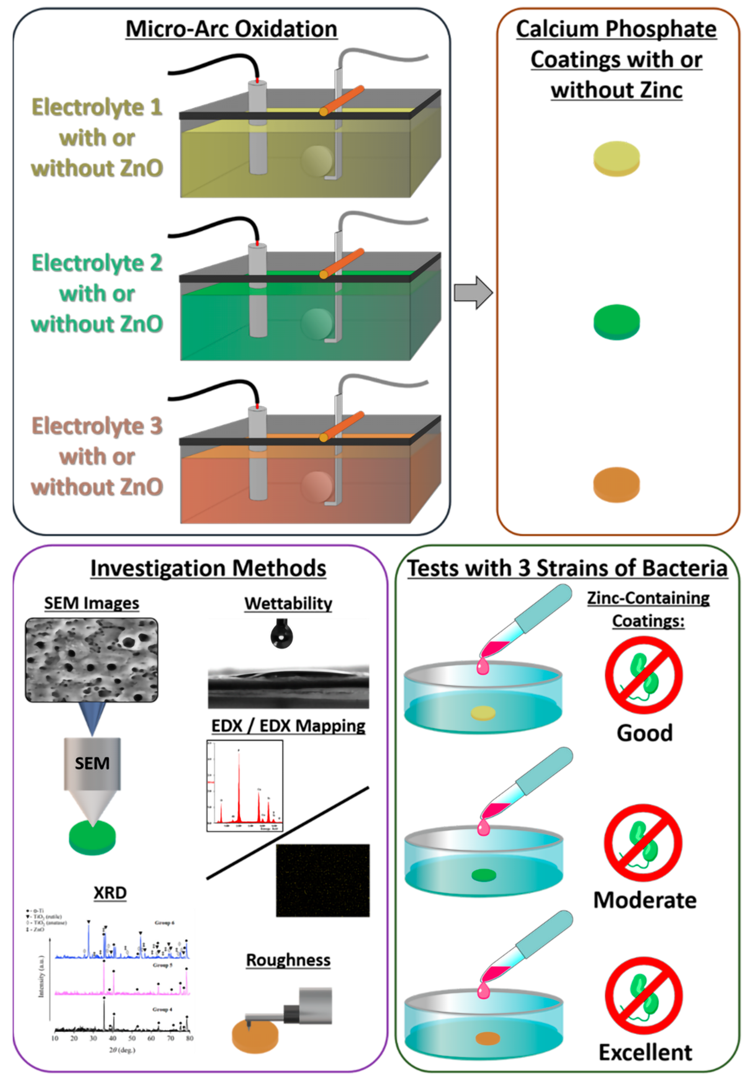 Biomimetics 08 00444 g001