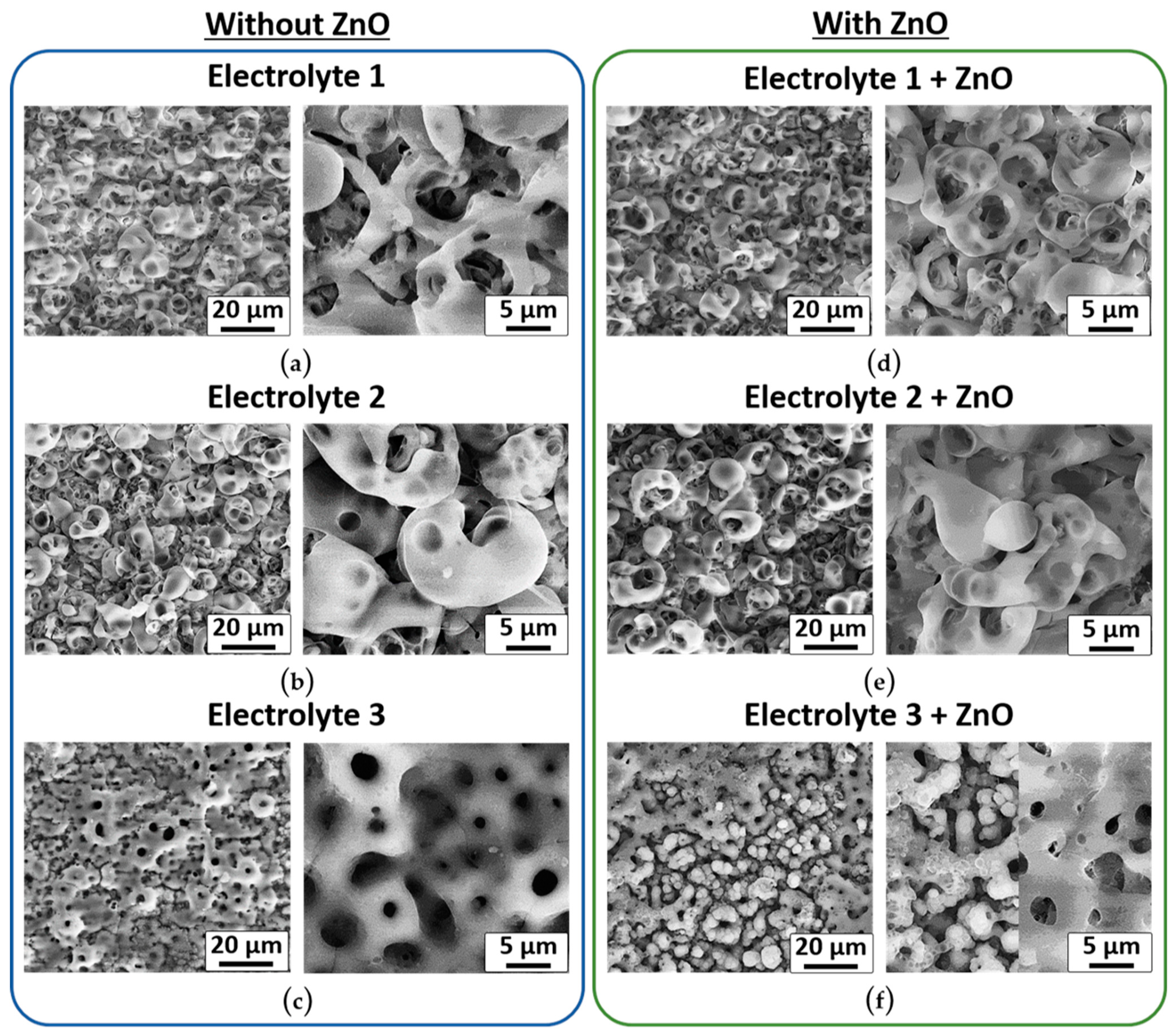 Biomimetics 08 00444 g002