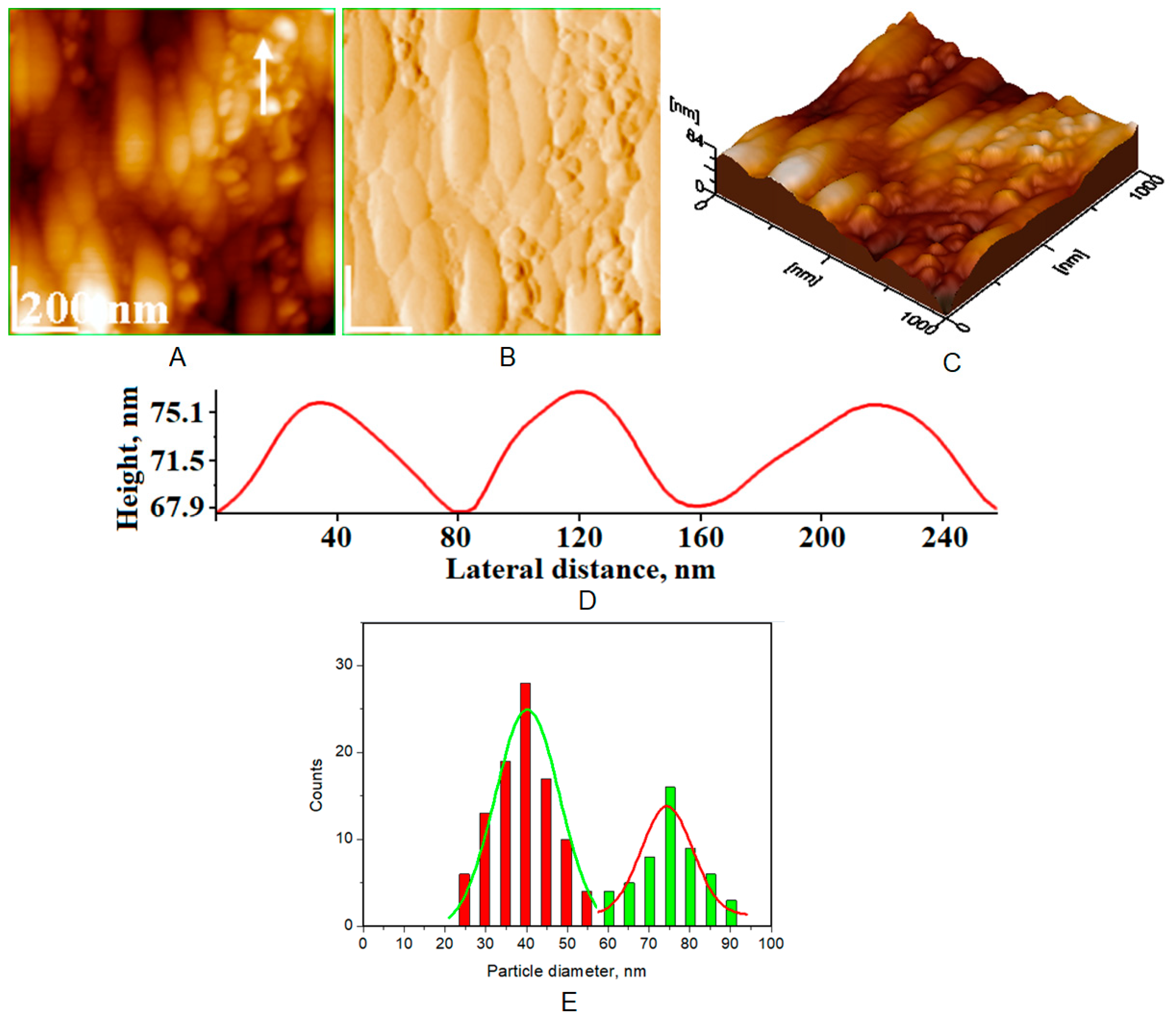 Biomimetics 08 00450 g010