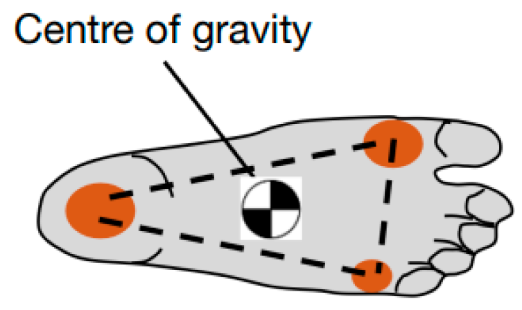 Biomimetics 08 00455 g003