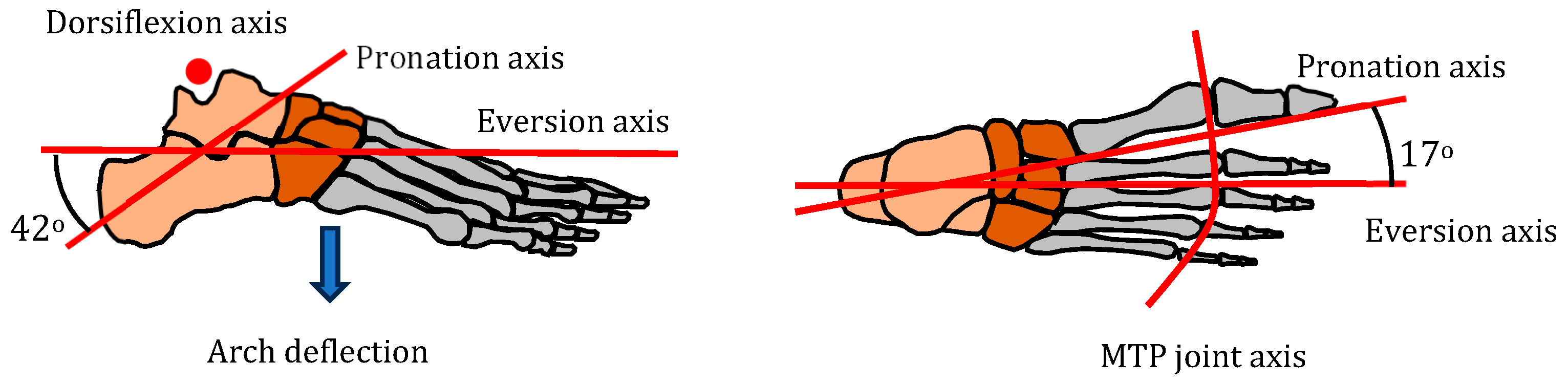 Biomimetics 08 00455 g004