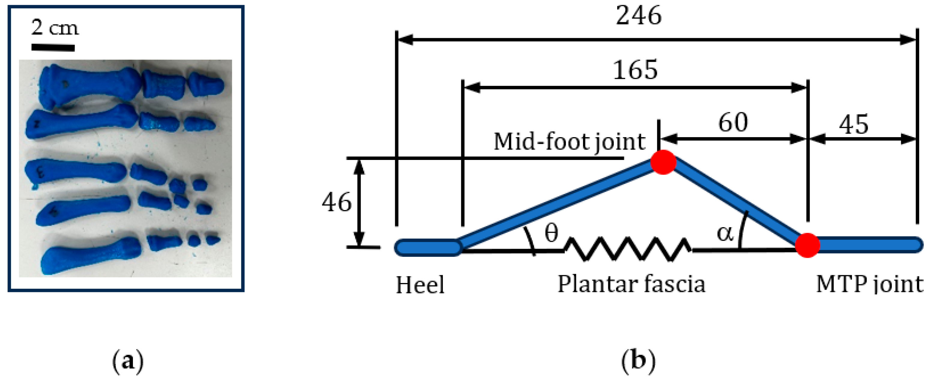 Biomimetics 08 00455 g005