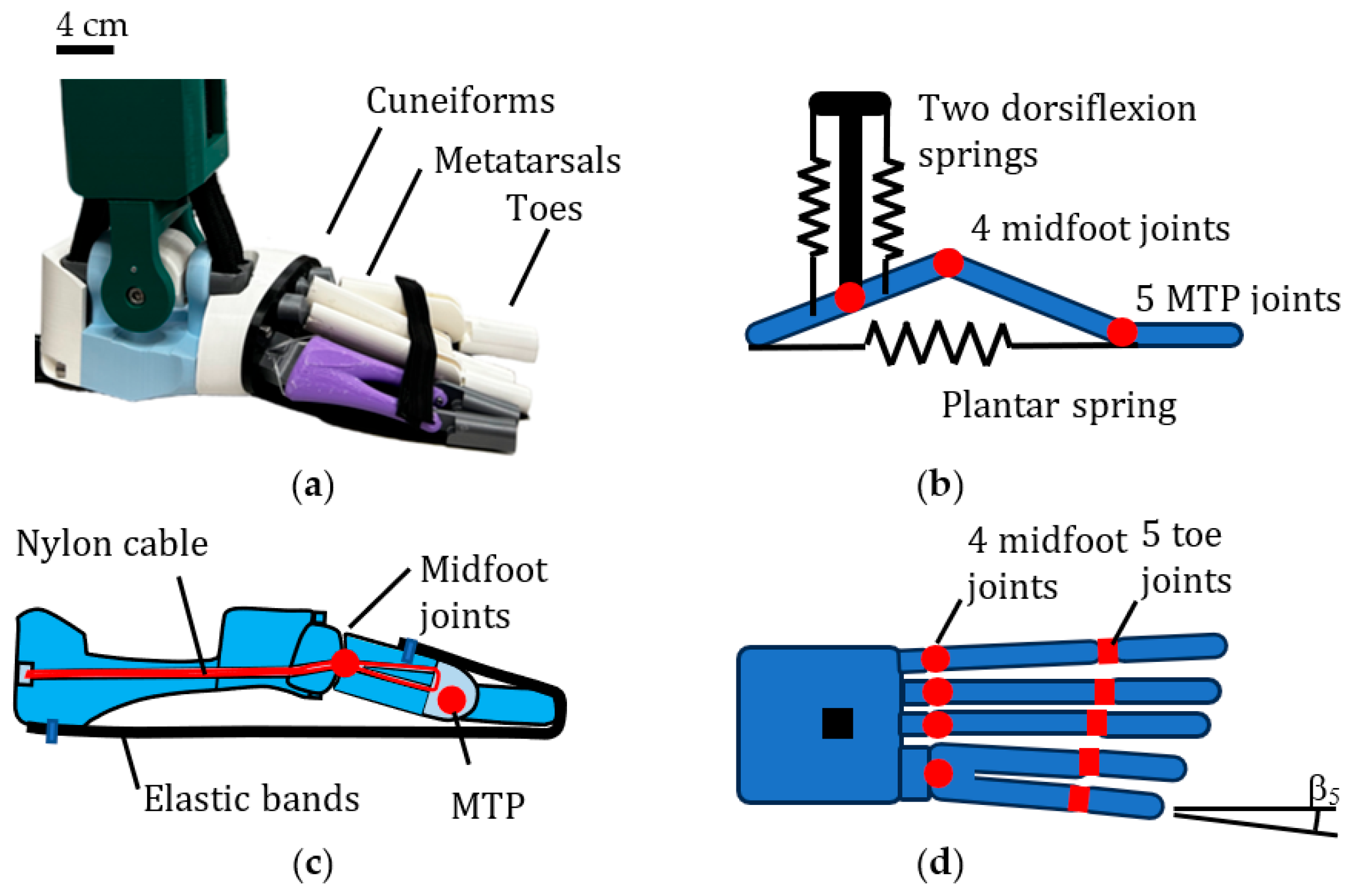 Biomimetics 08 00455 g006