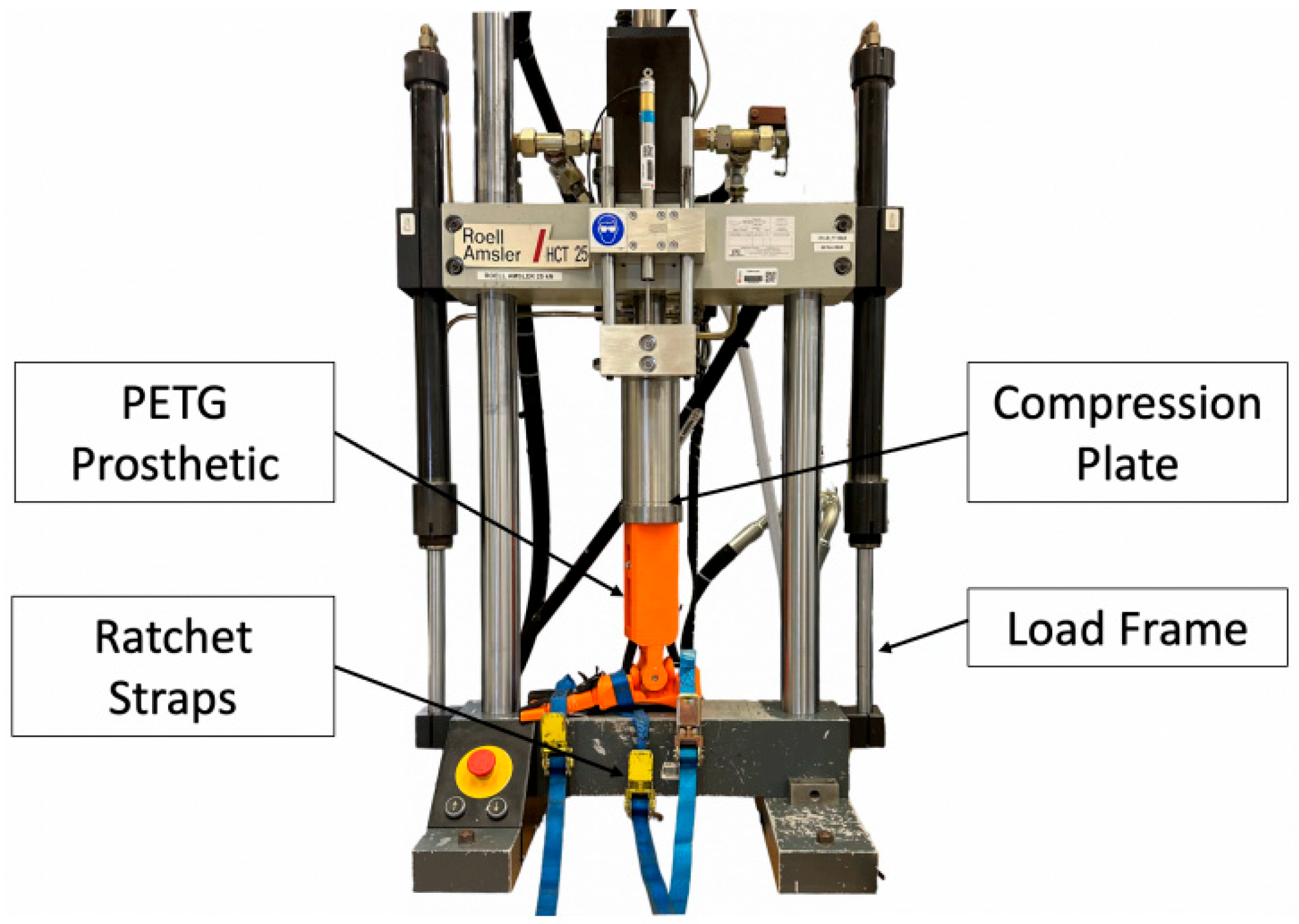 Biomimetics 08 00455 g008