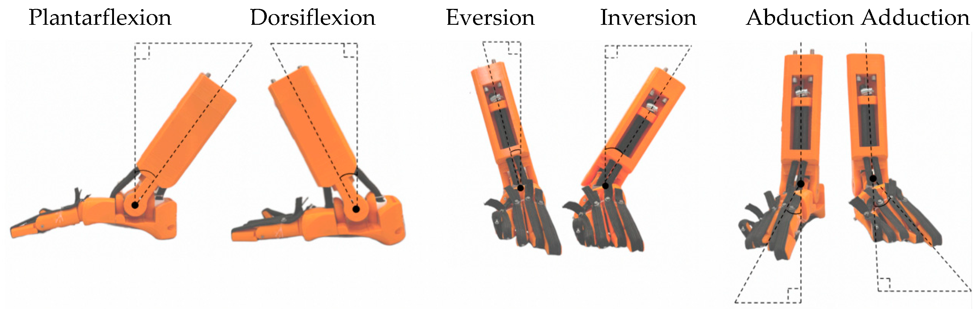Biomimetics 08 00455 g010