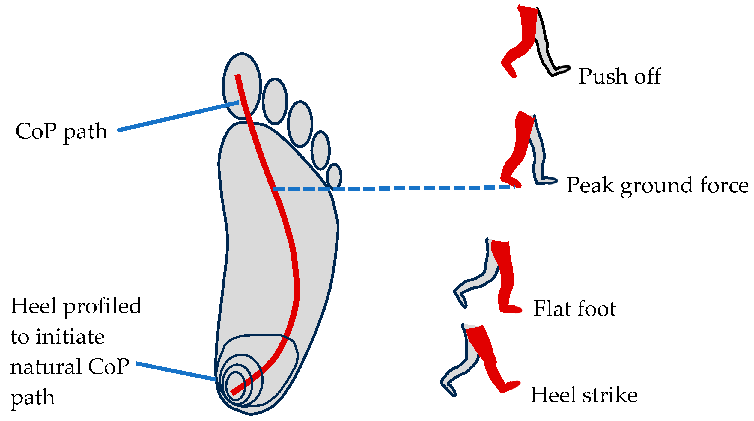 Biomimetics 08 00455 g012