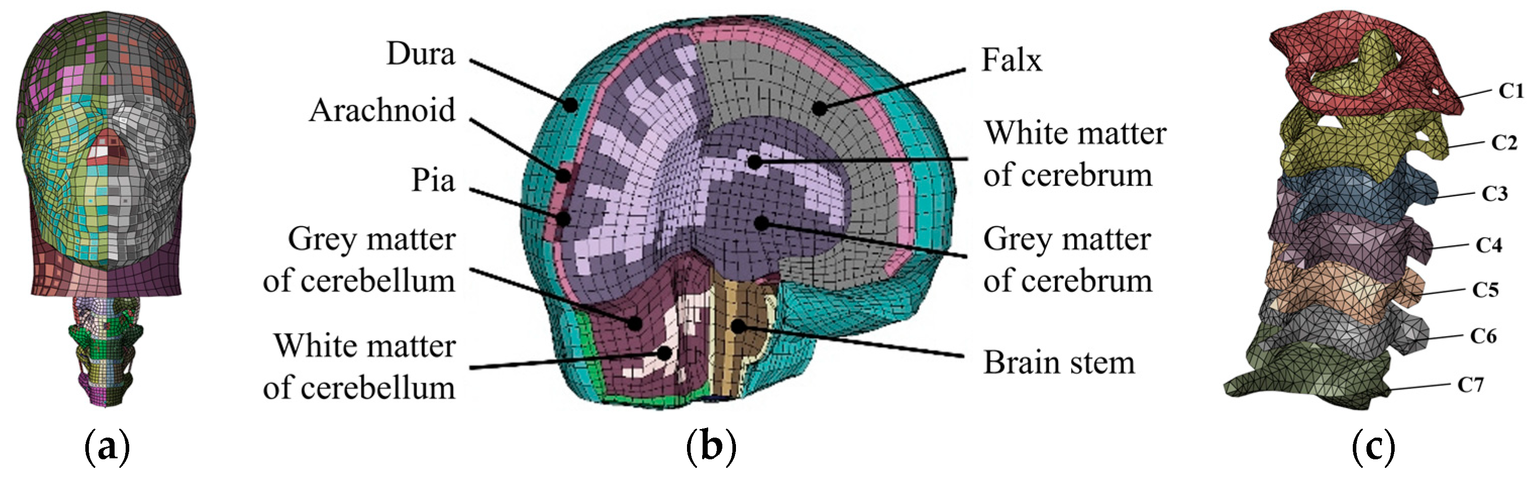 Biomimetics 08 00456 g001