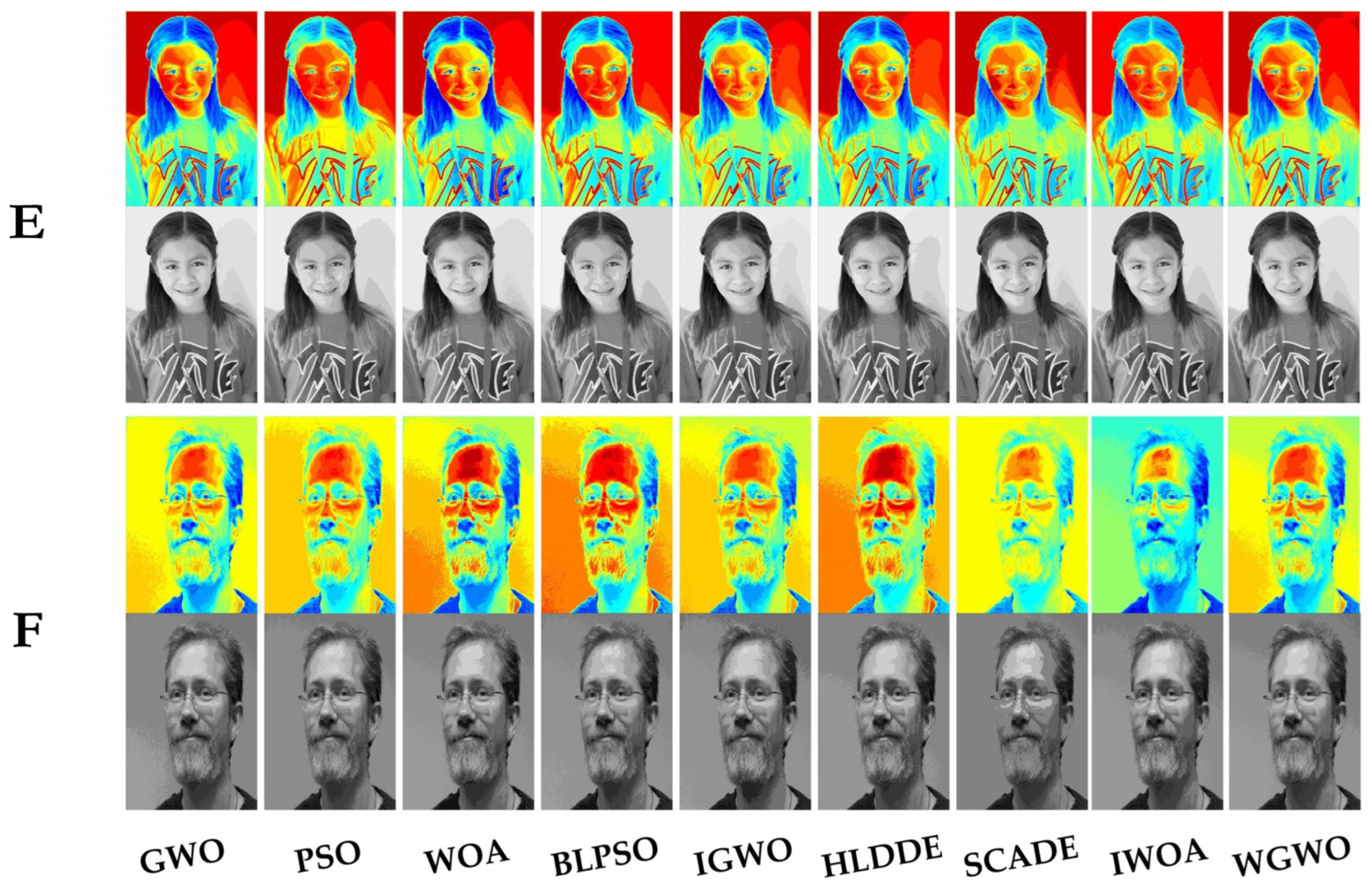 Biomimetics 08 00484 g0a2