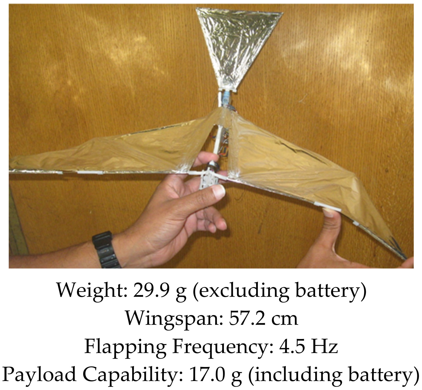 Biomimetics 08 00485 g002