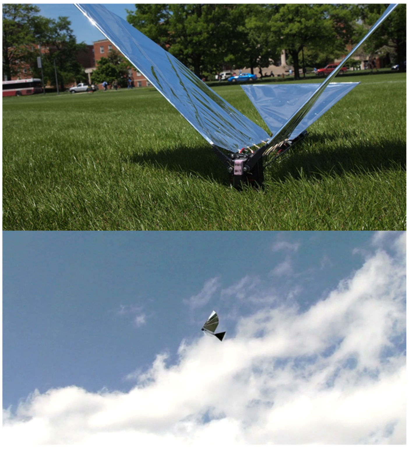 Biomimetics 08 00485 g004