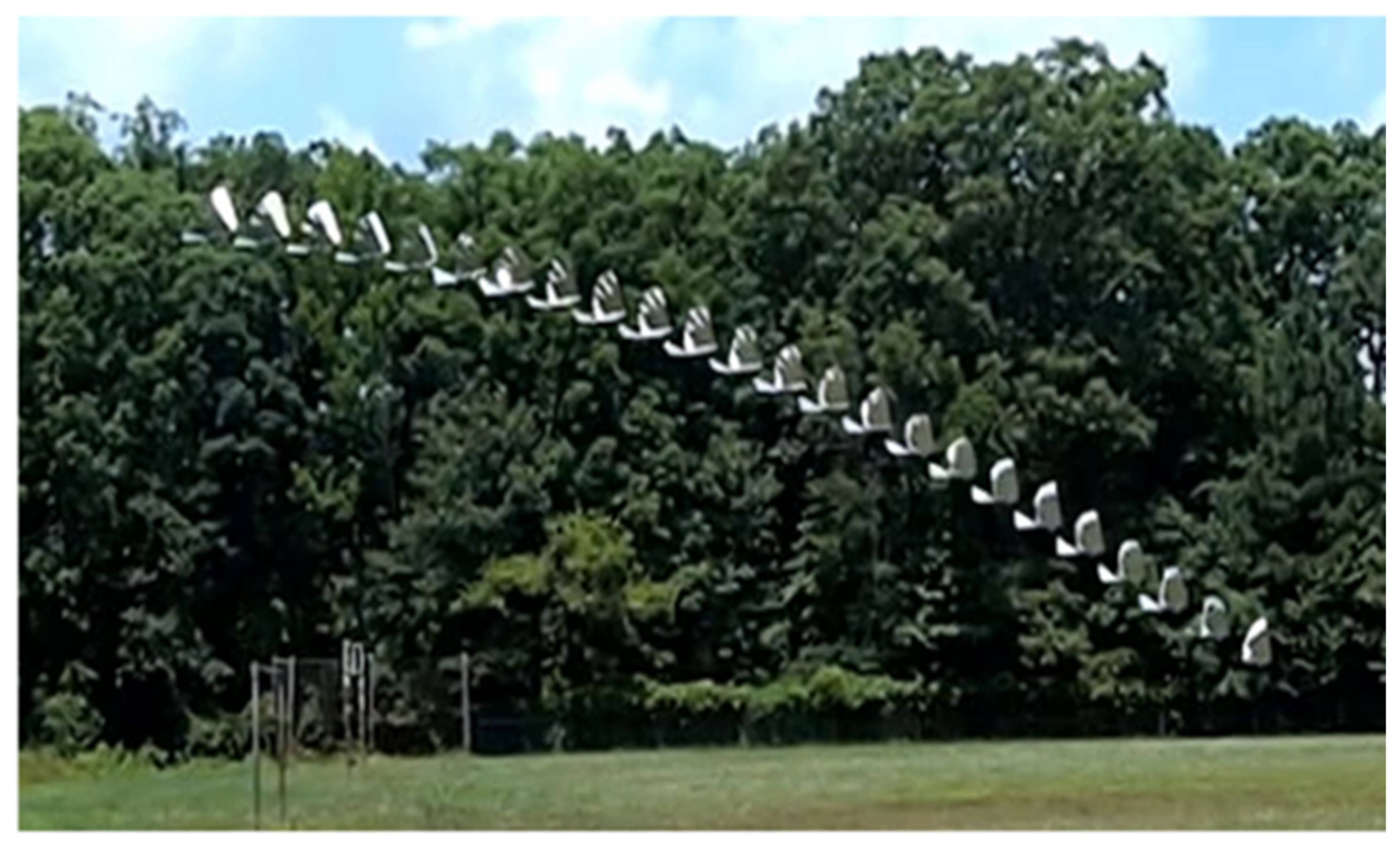 Biomimetics 08 00485 g014