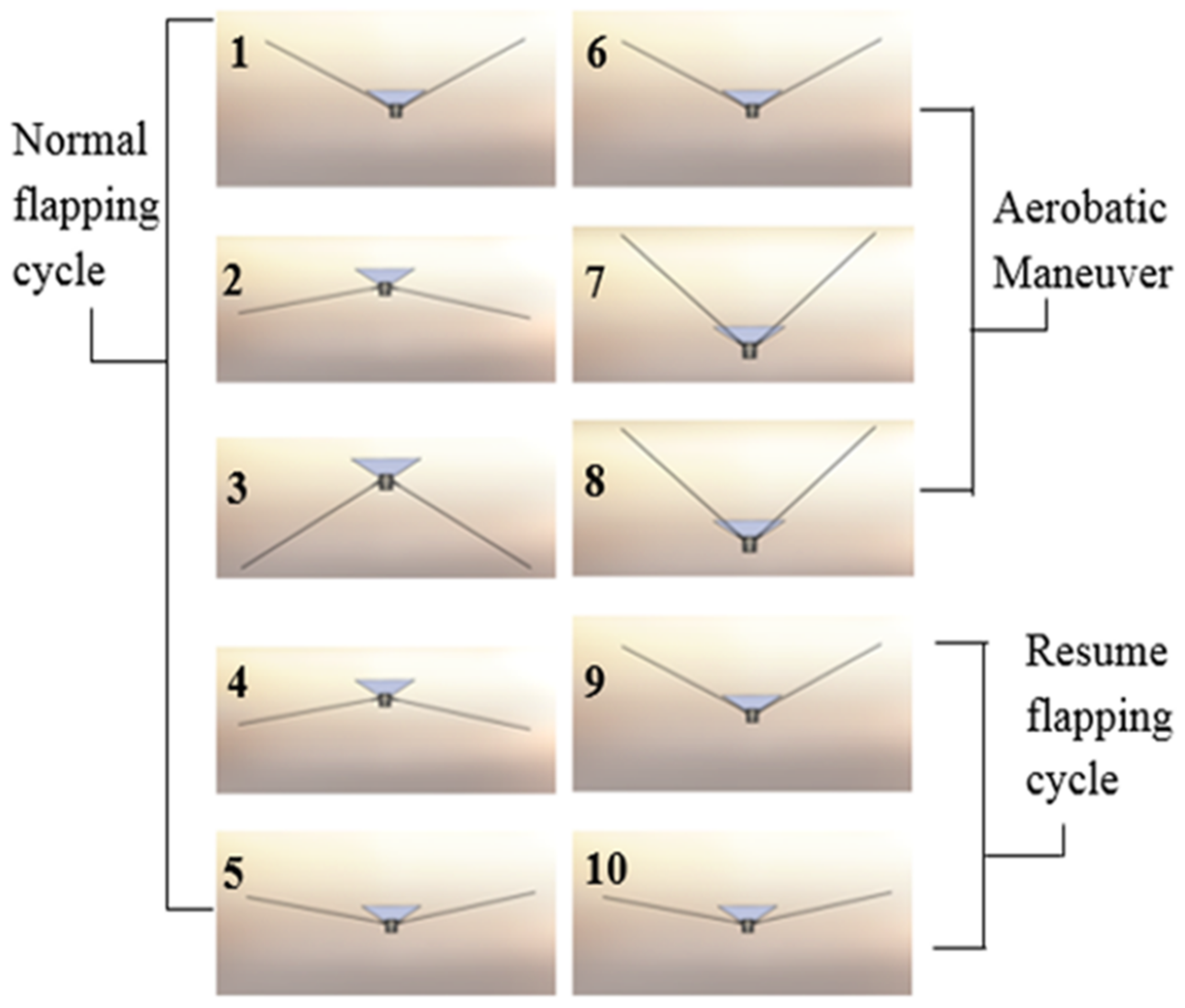 Biomimetics 08 00485 g015