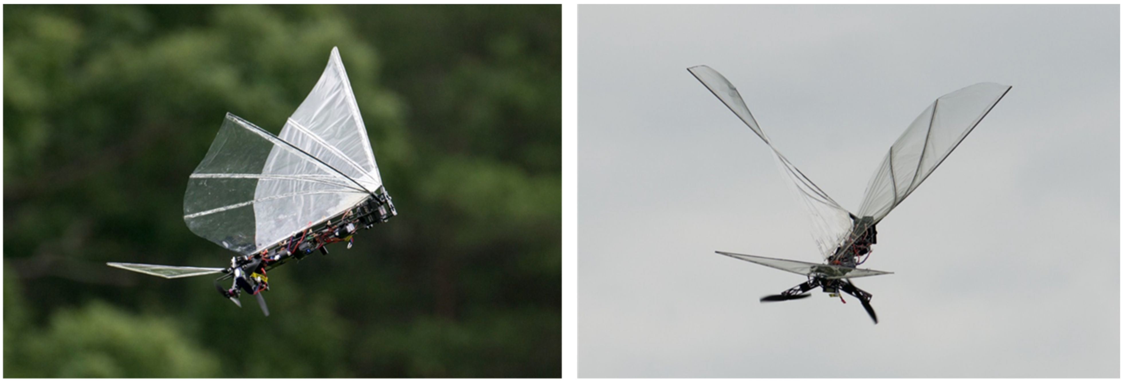 Biomimetics 08 00485 g017