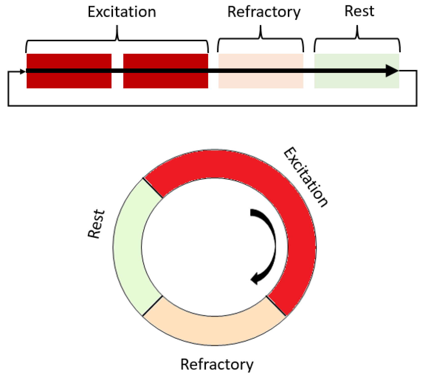 Biomimetics 08 00487 g002