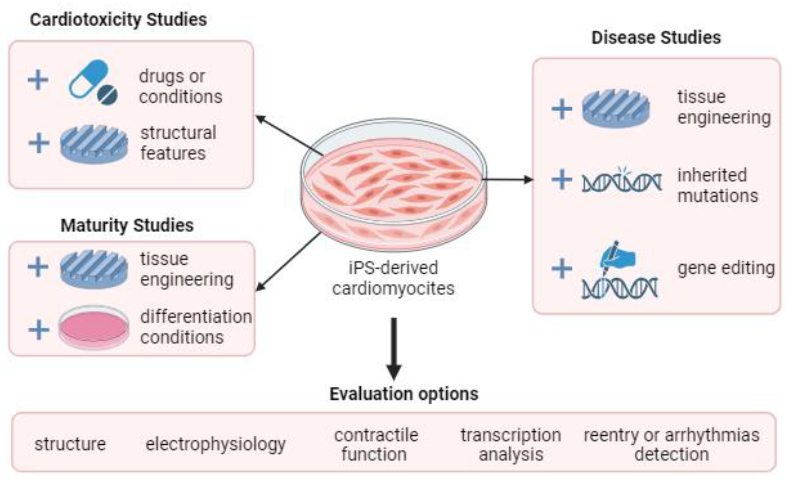 Biomimetics 08 00487 g003
