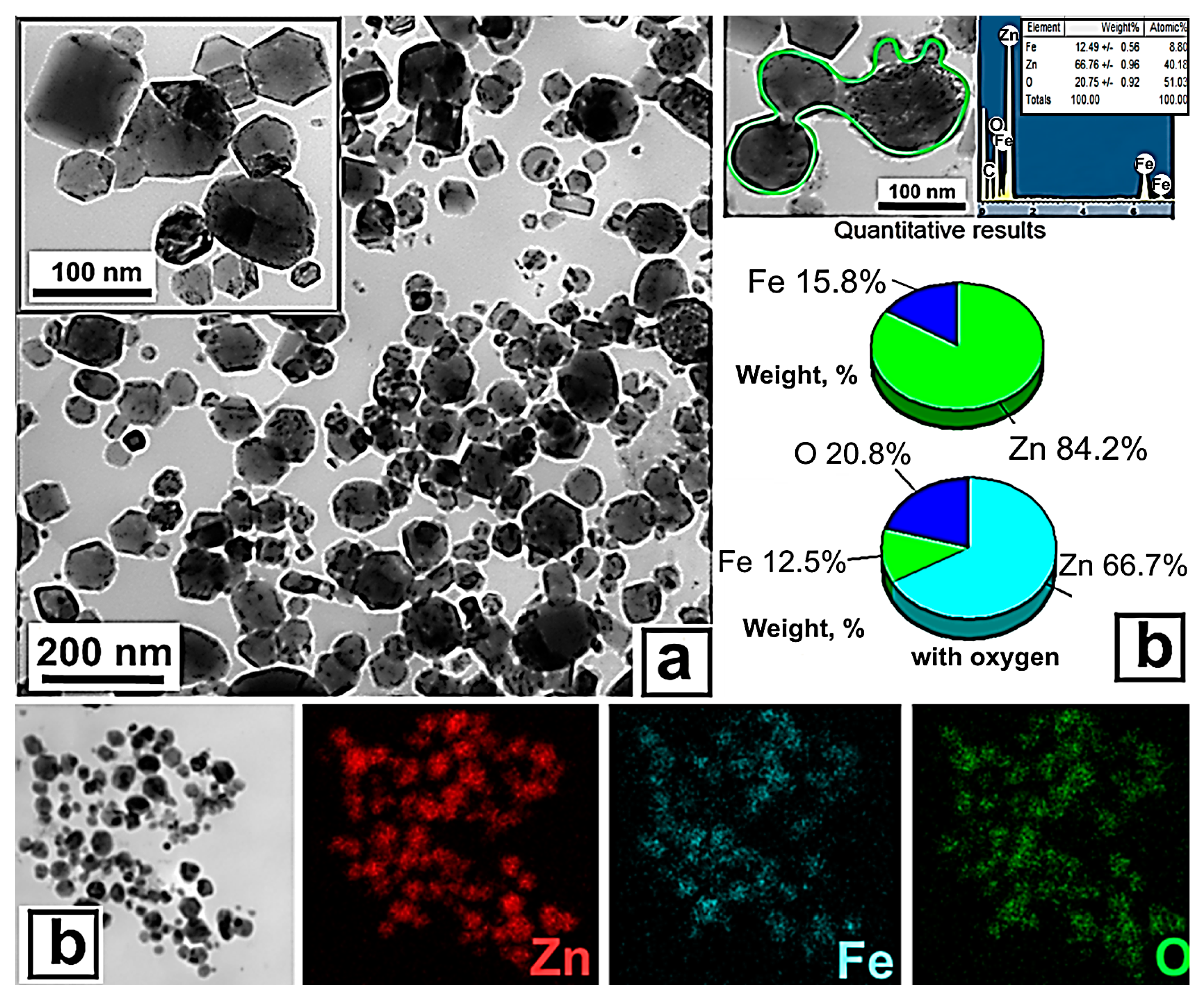 Biomimetics 08 00488 g002