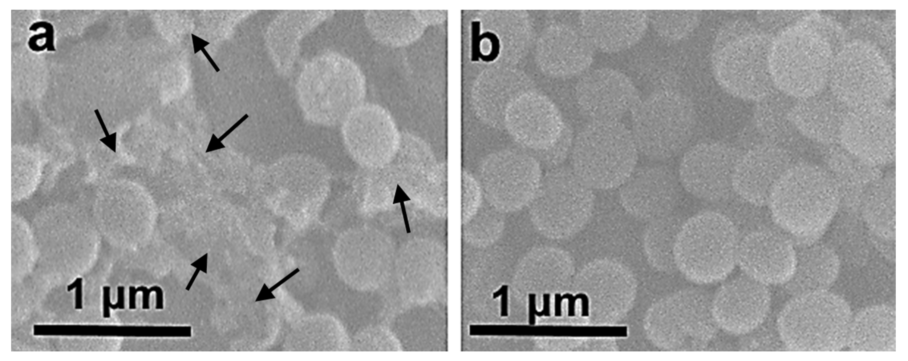 Biomimetics 08 00488 g012