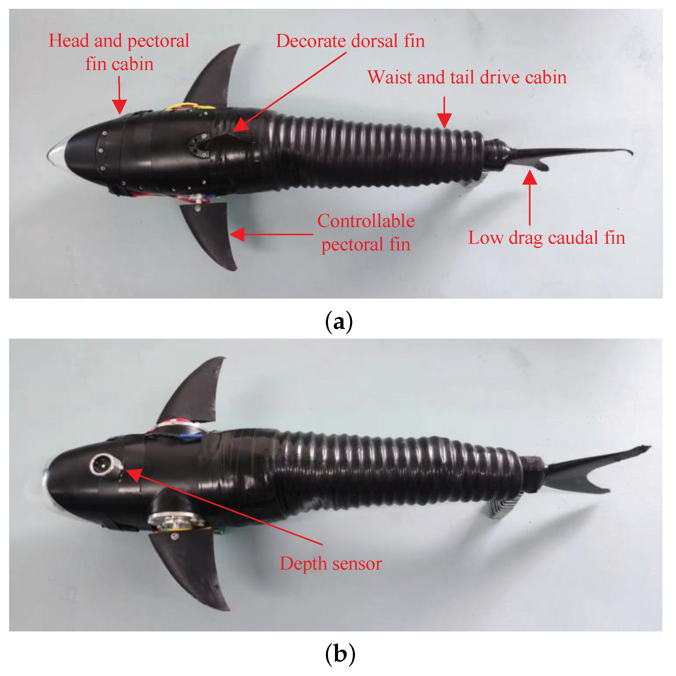 Biomimetics 08 00489 g004