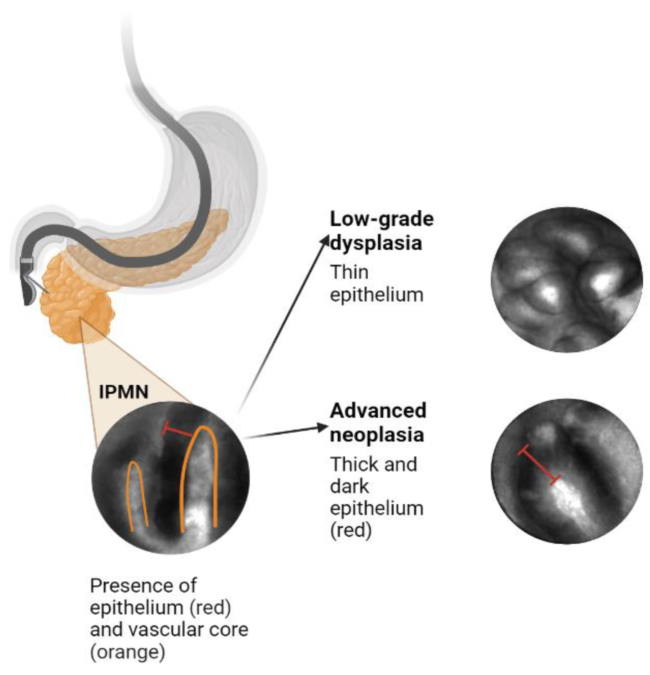 Biomimetics 08 00496 g001