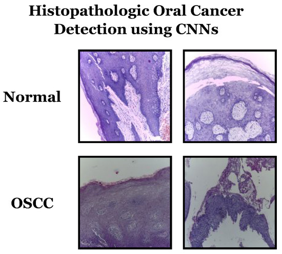 Biomimetics 08 00499 g005